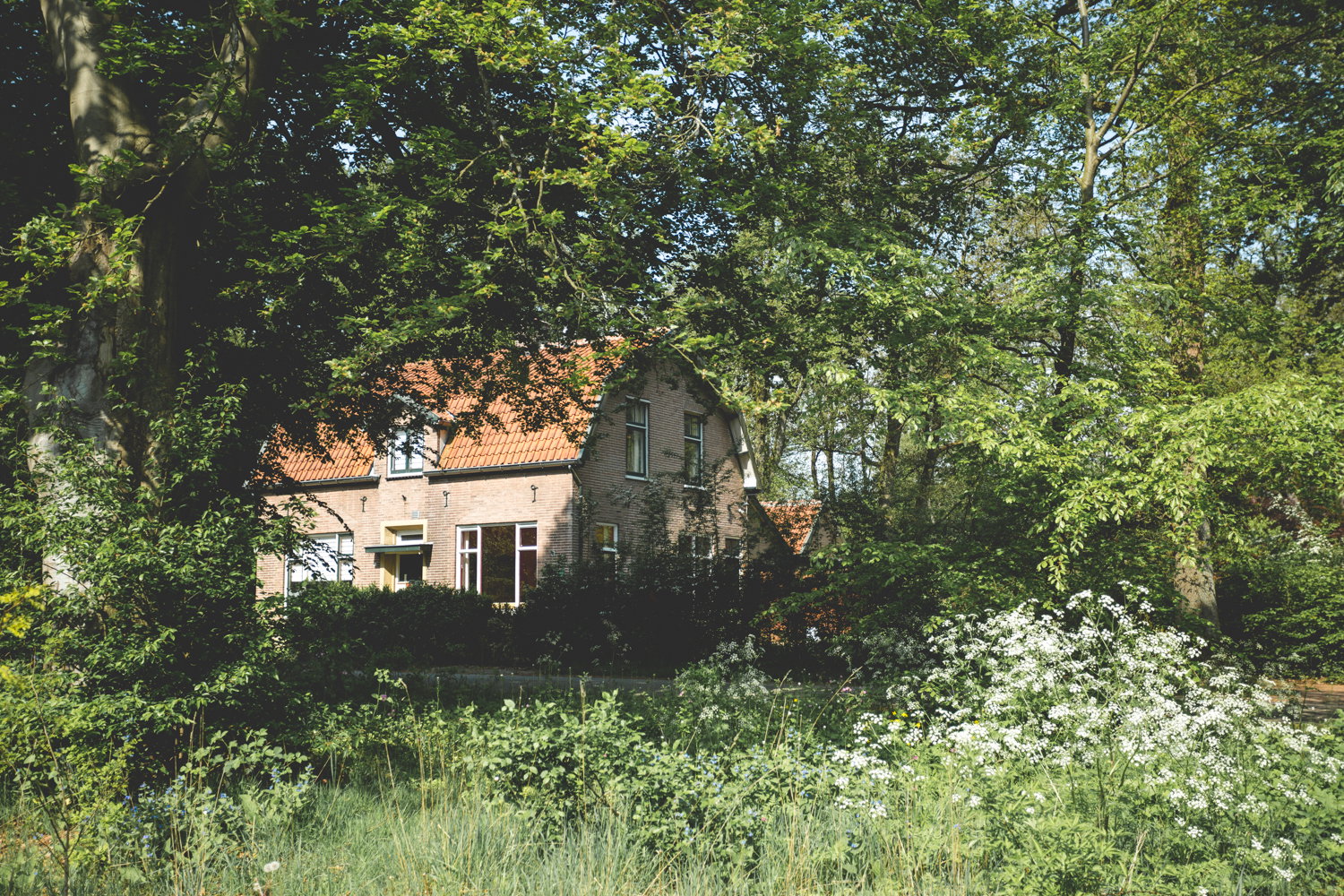 Naturhäuschen in Hoenderloo