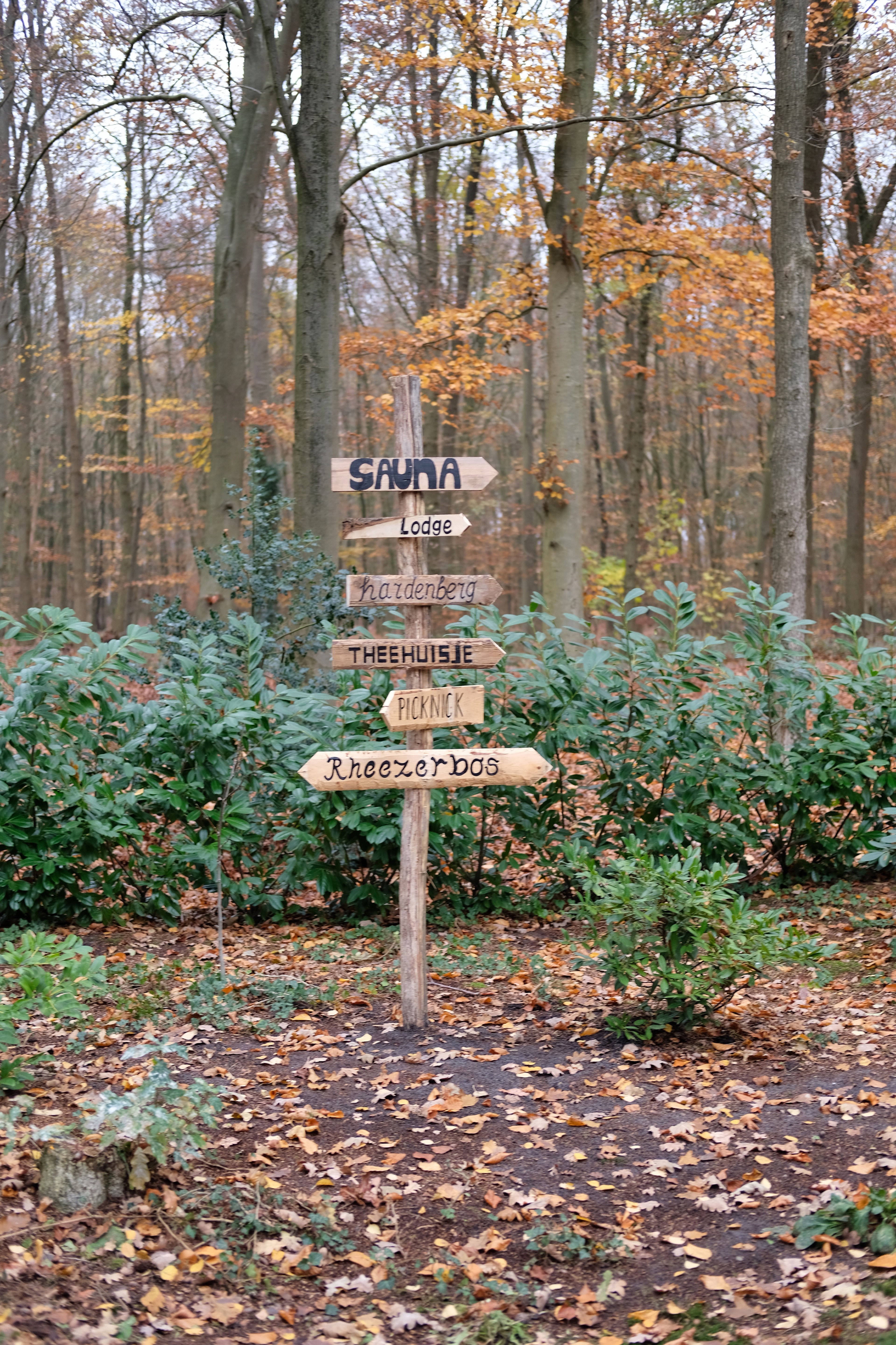 Naturhäuschen in Rheezerveen