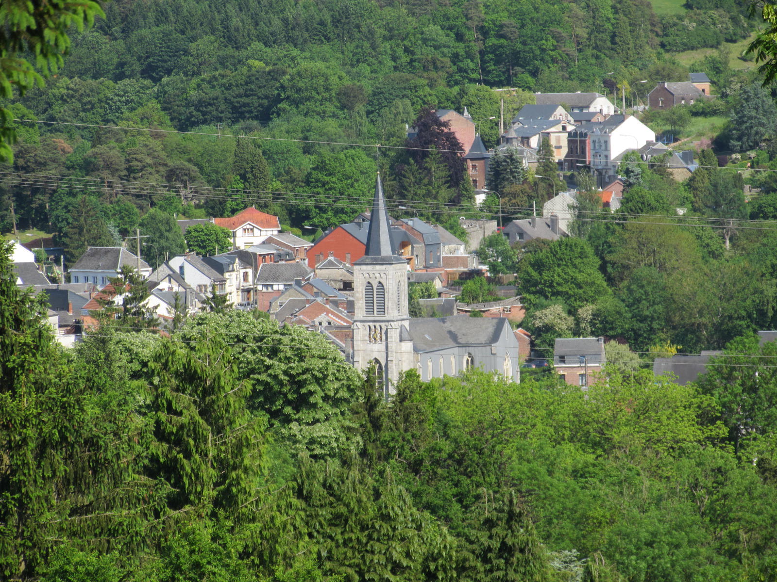 - image: 11