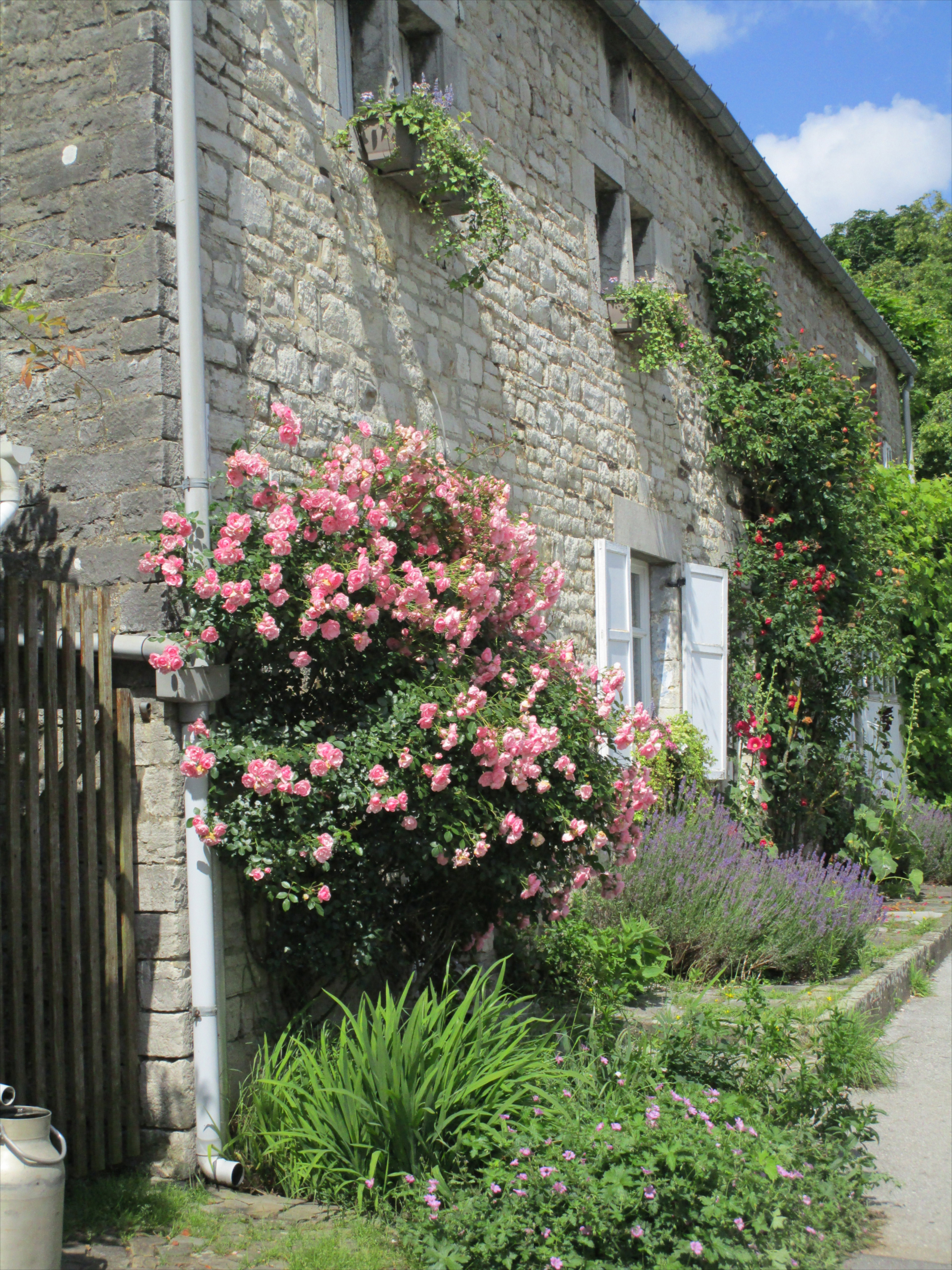 - image: 48