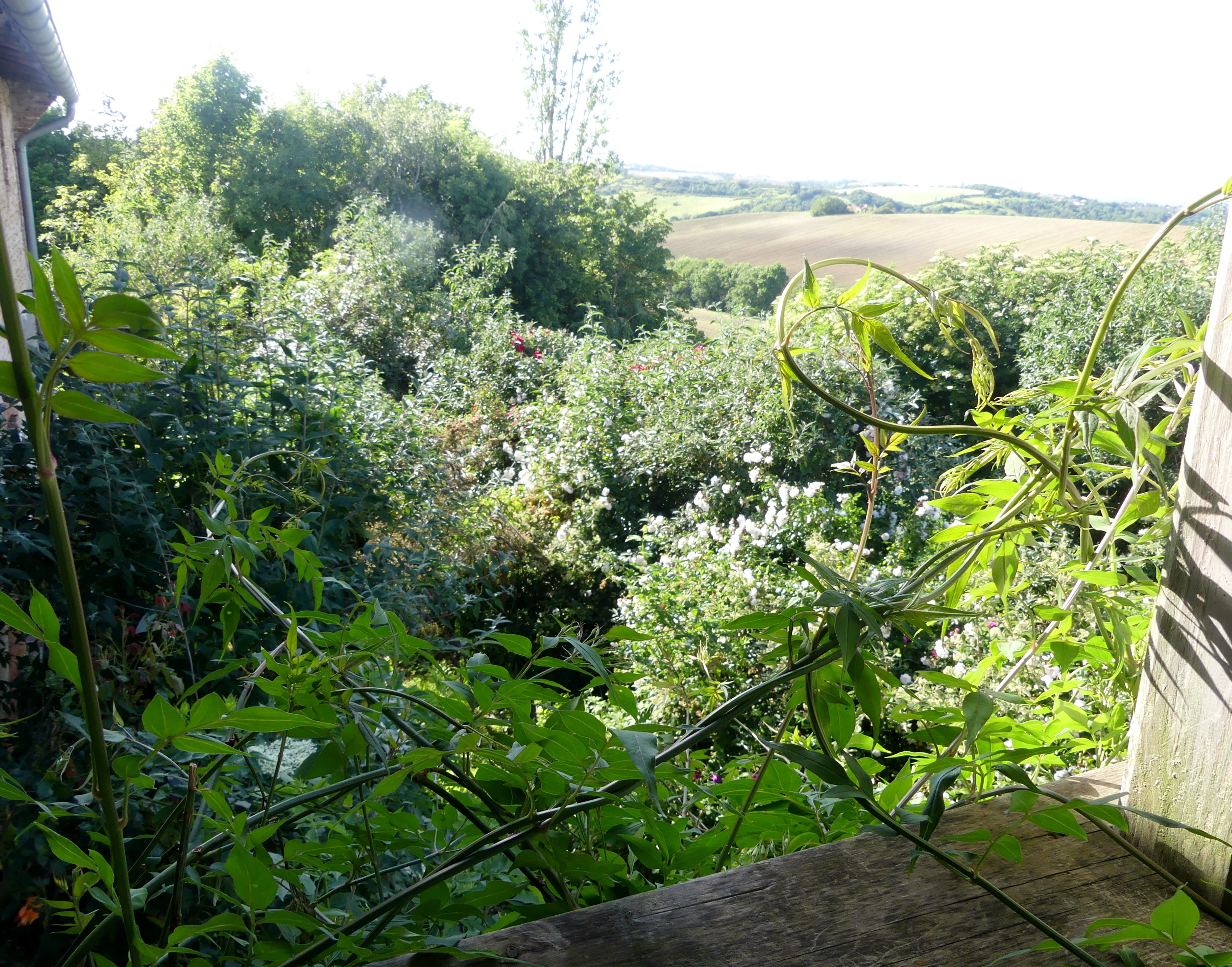 Natuurhuisje in Montbrun Lauragais