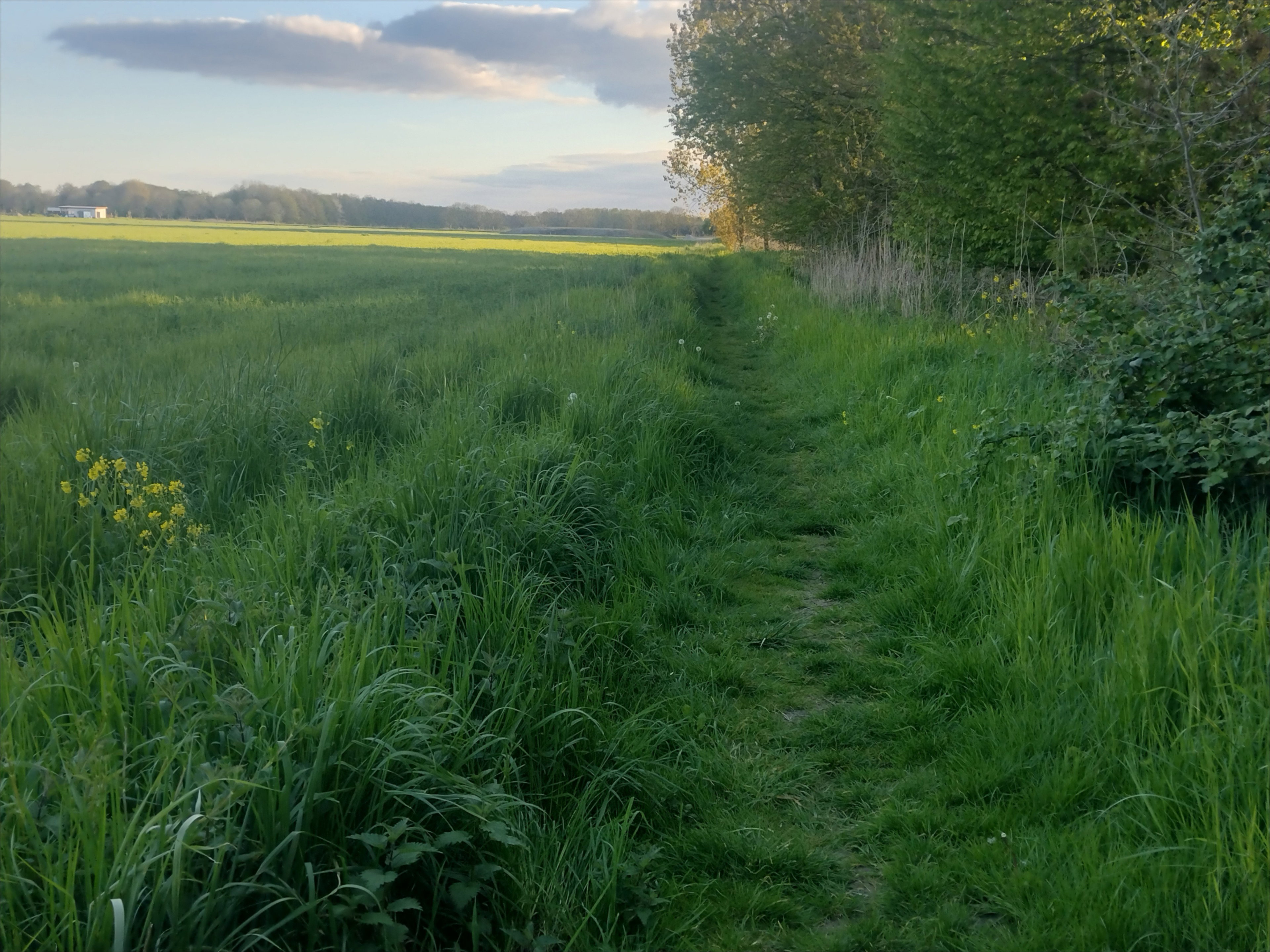 Naturhäuschen in Almere