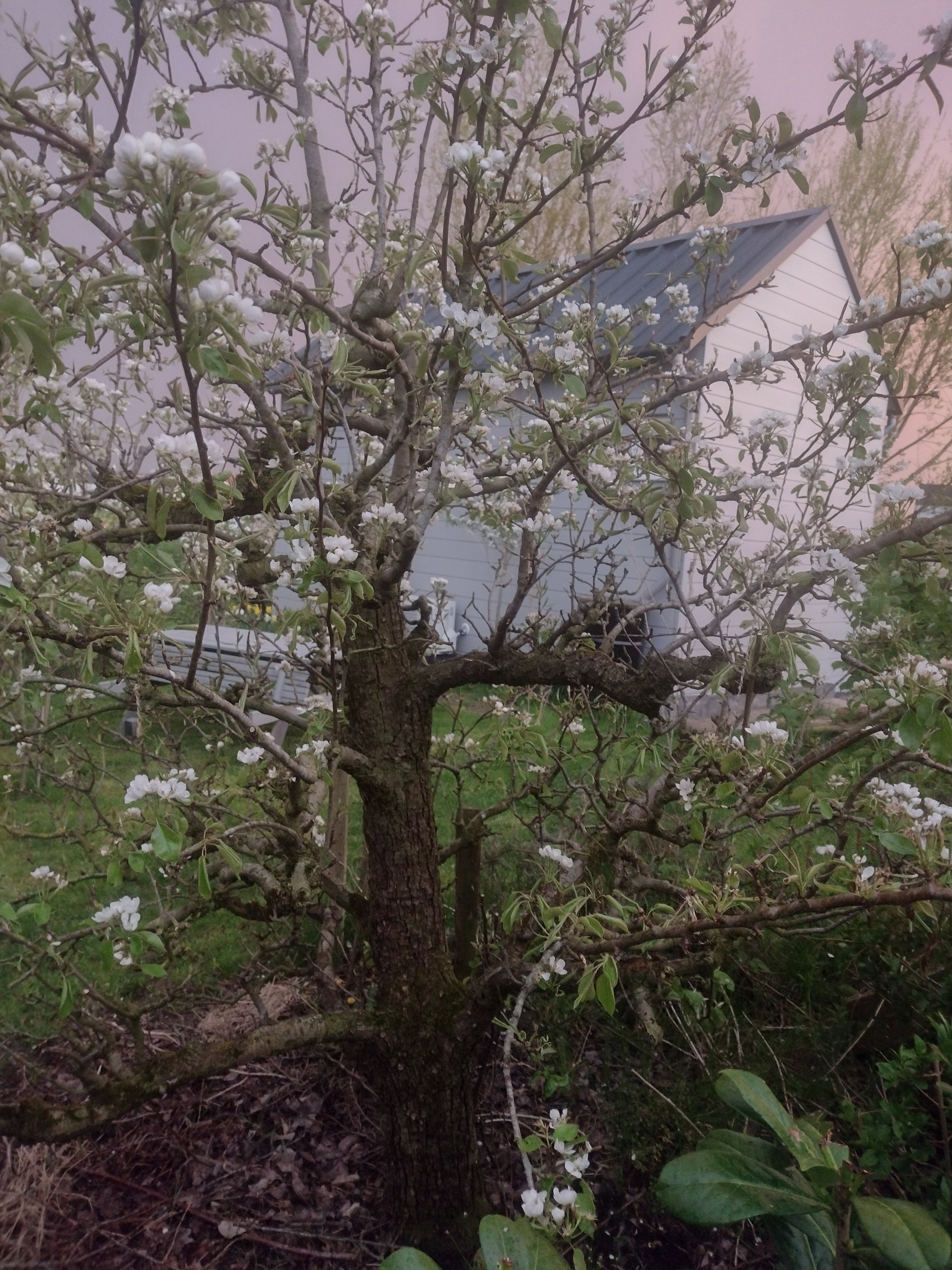 Naturhäuschen in Almere