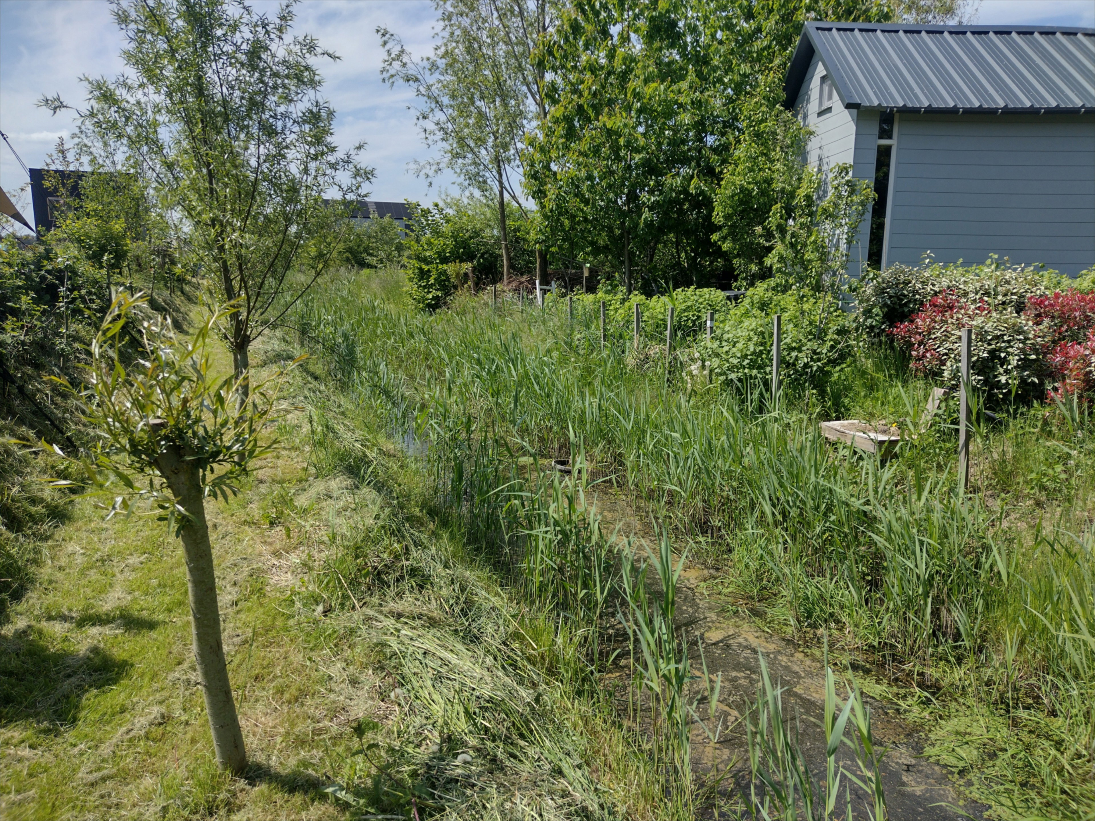 - image: 22