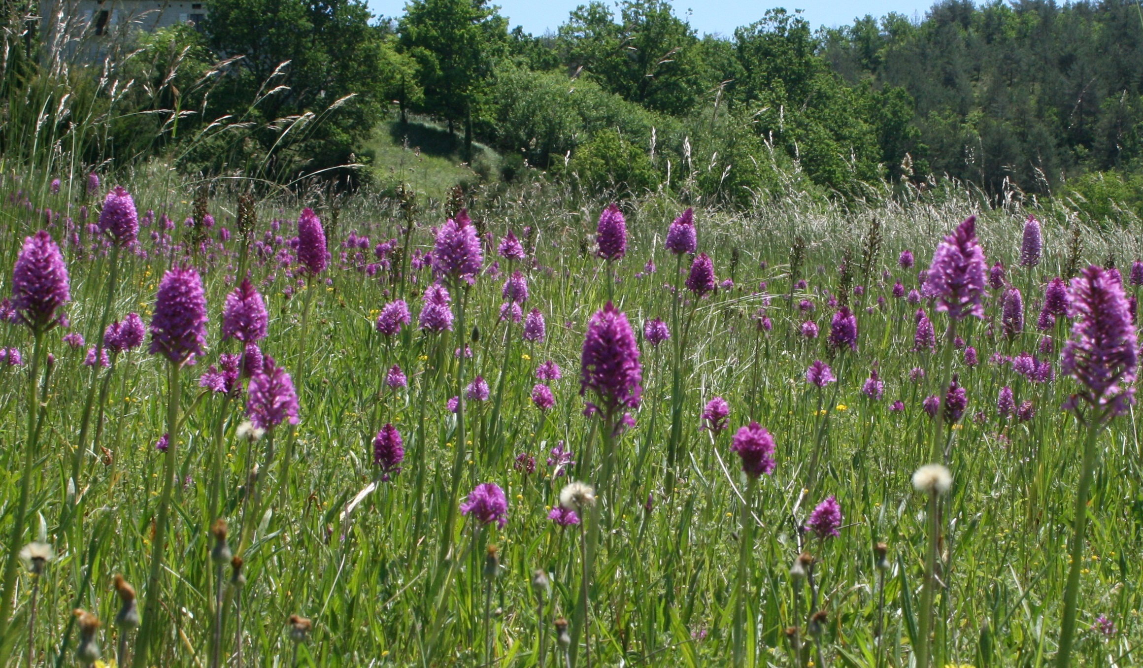 Maison nature à cezac
