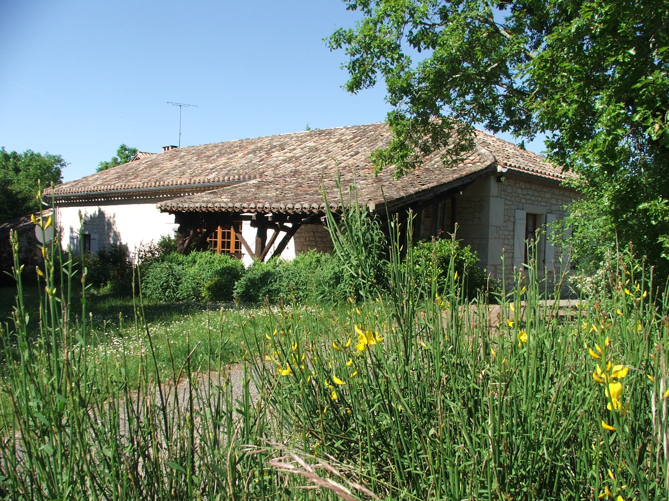 - image: 11