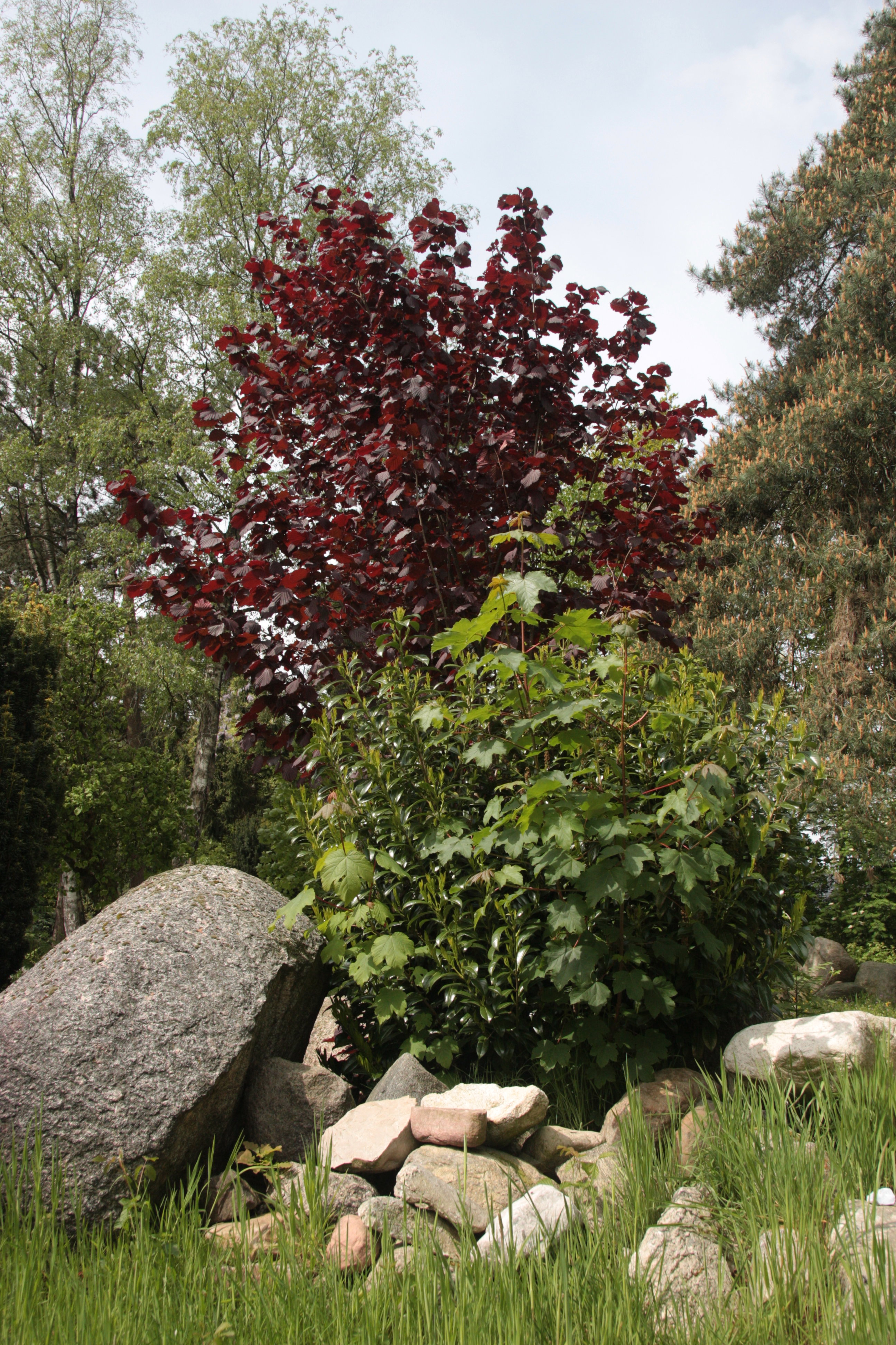 - image: 19