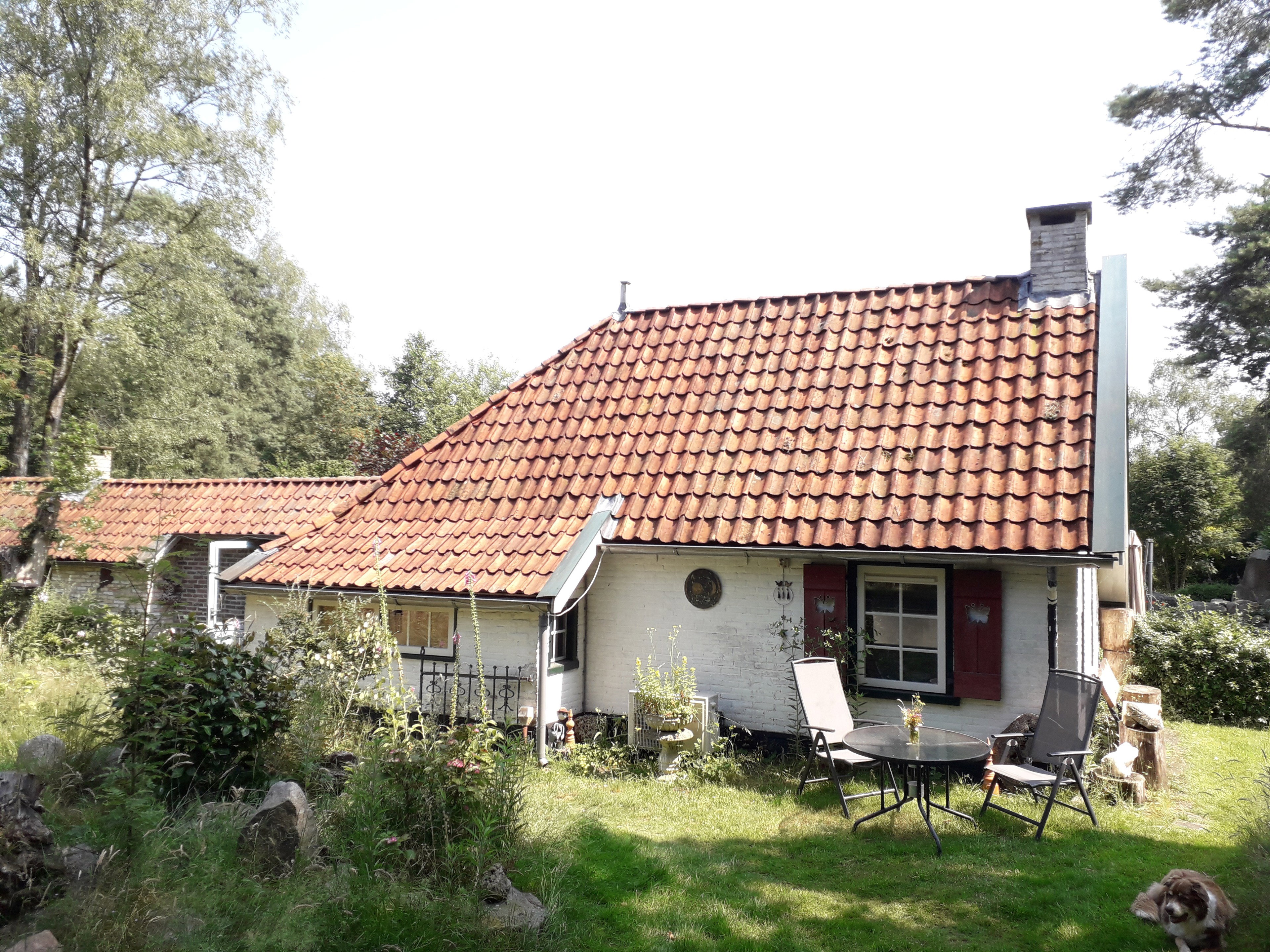 Casa nella natura a Oldeholtpade