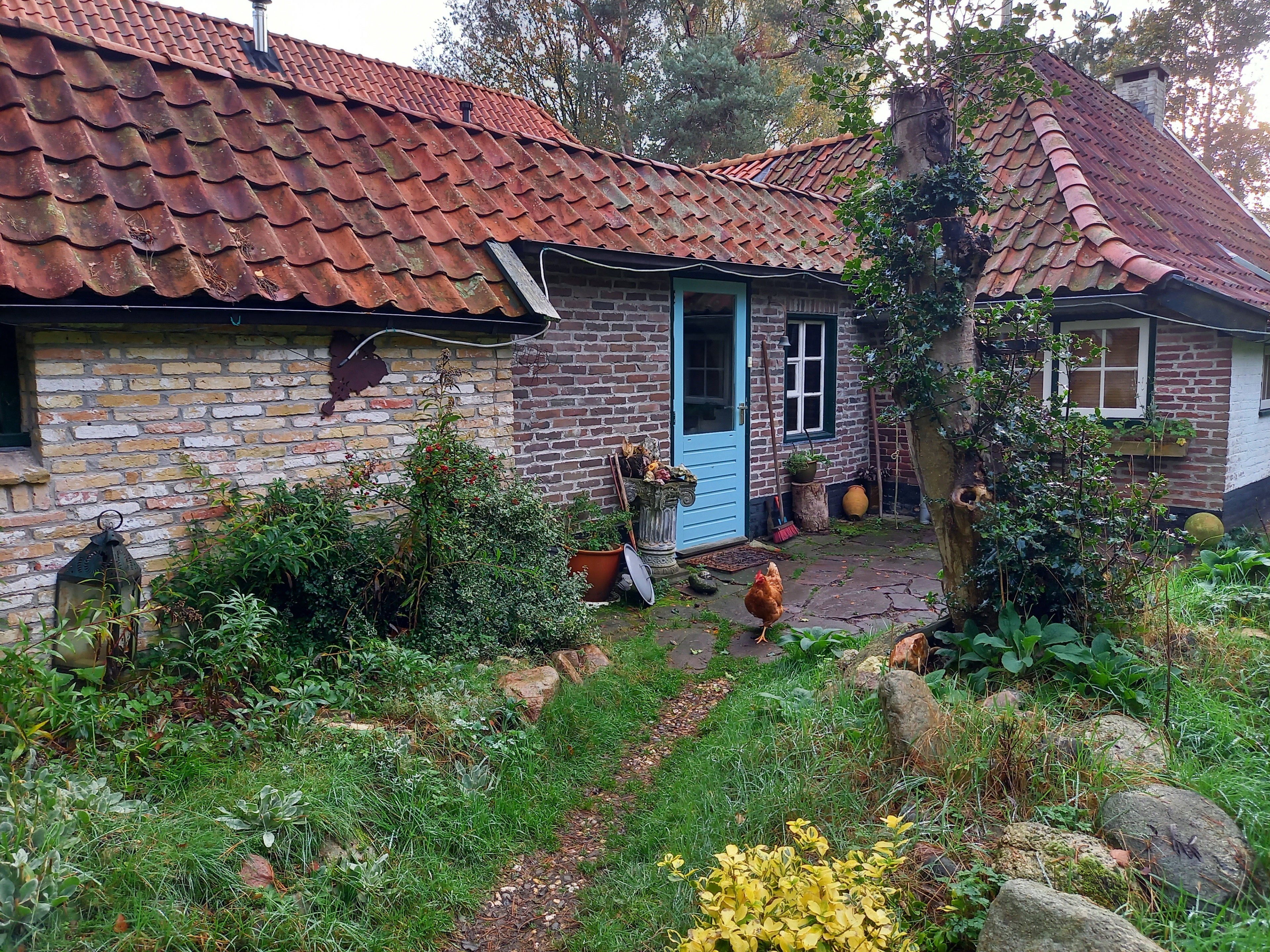 Naturhäuschen in Oldeholtpade