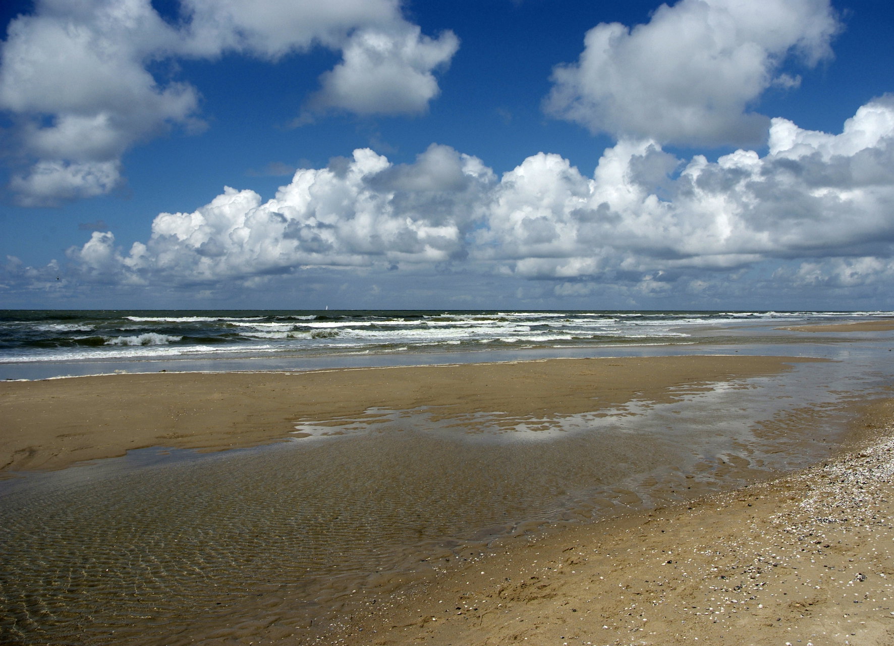 - image: 13
