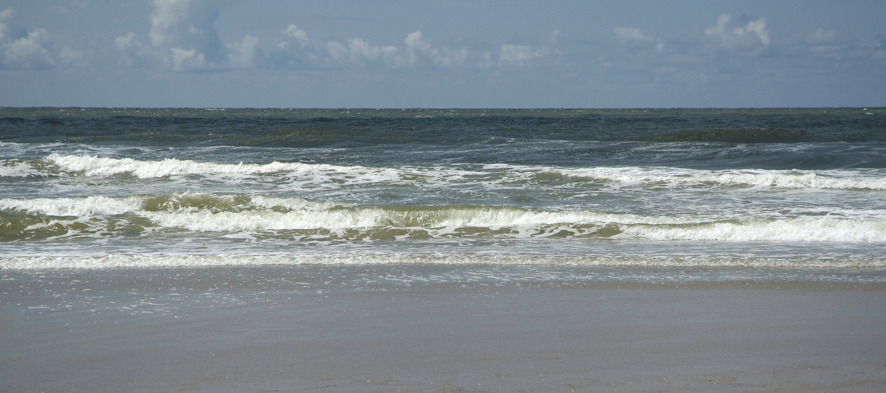 - image: 16