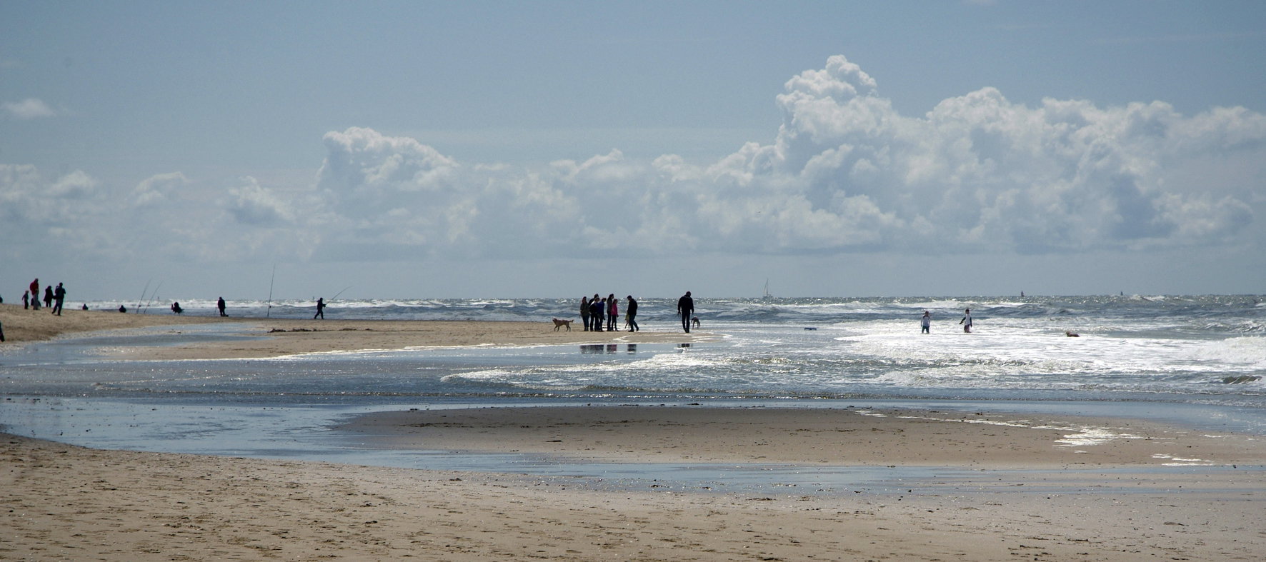 - image: 14