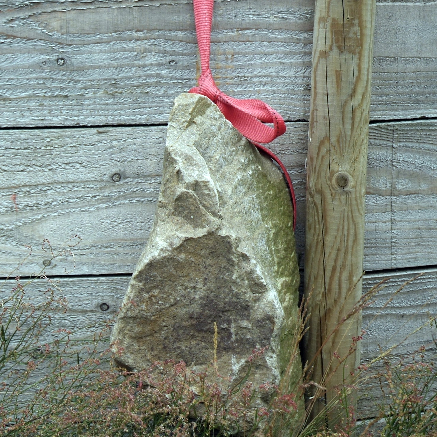 - image: 18