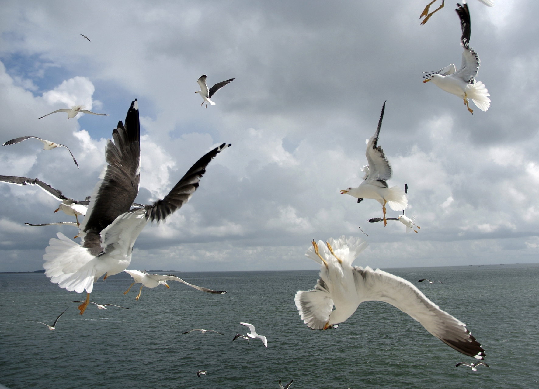 - image: 12