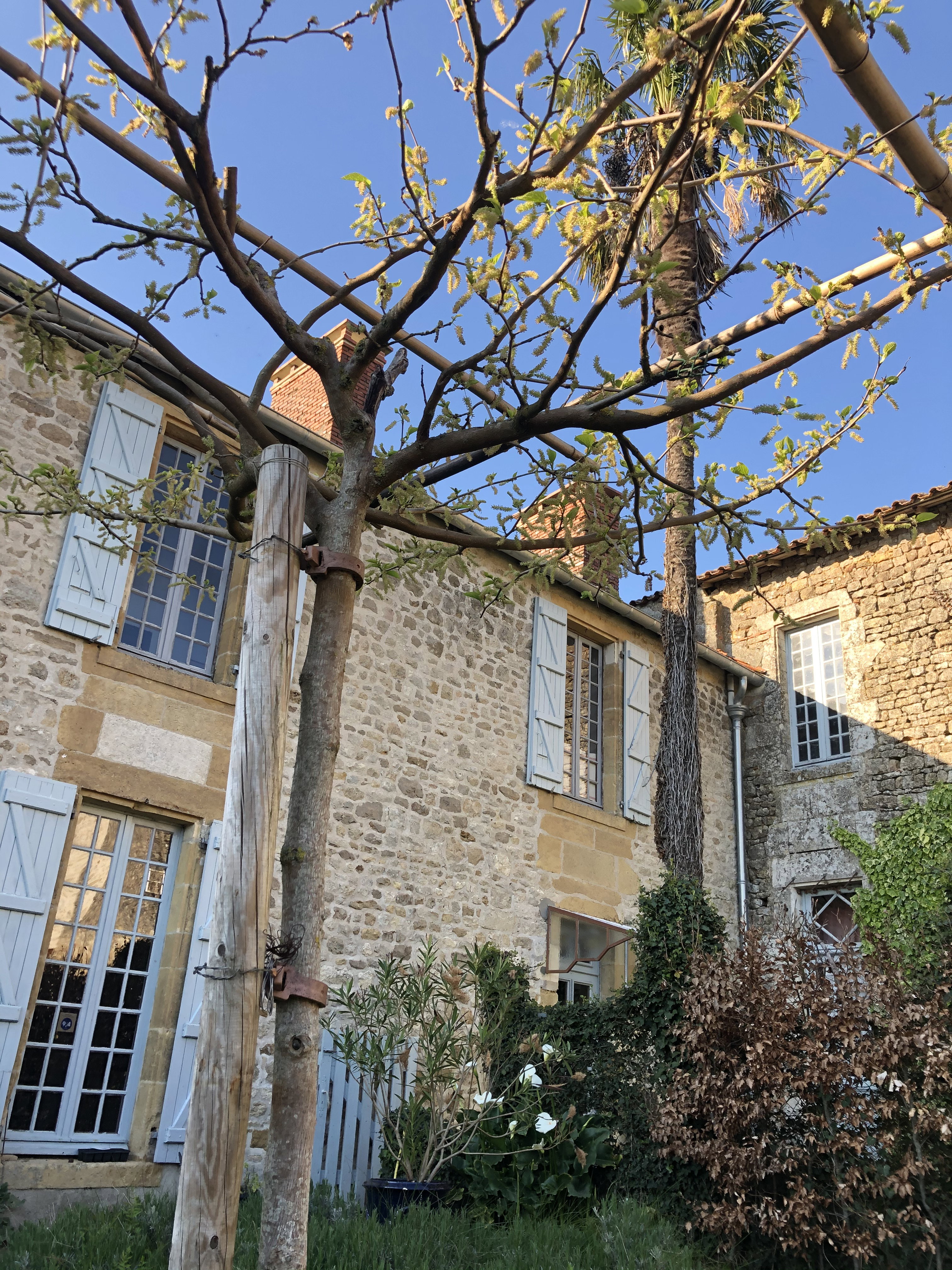 Natuurhuisje in Saint Martin-Lars en Sainte Hermine