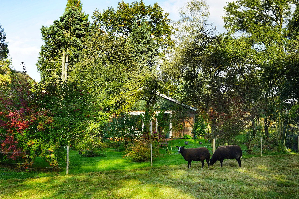 Naturhäuschen in Laren