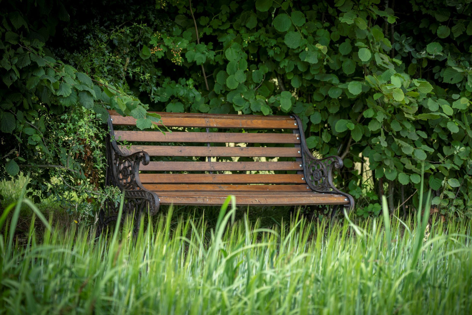 - image: 13