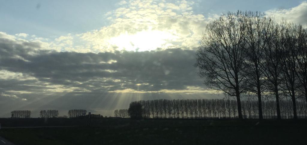 - image: 17