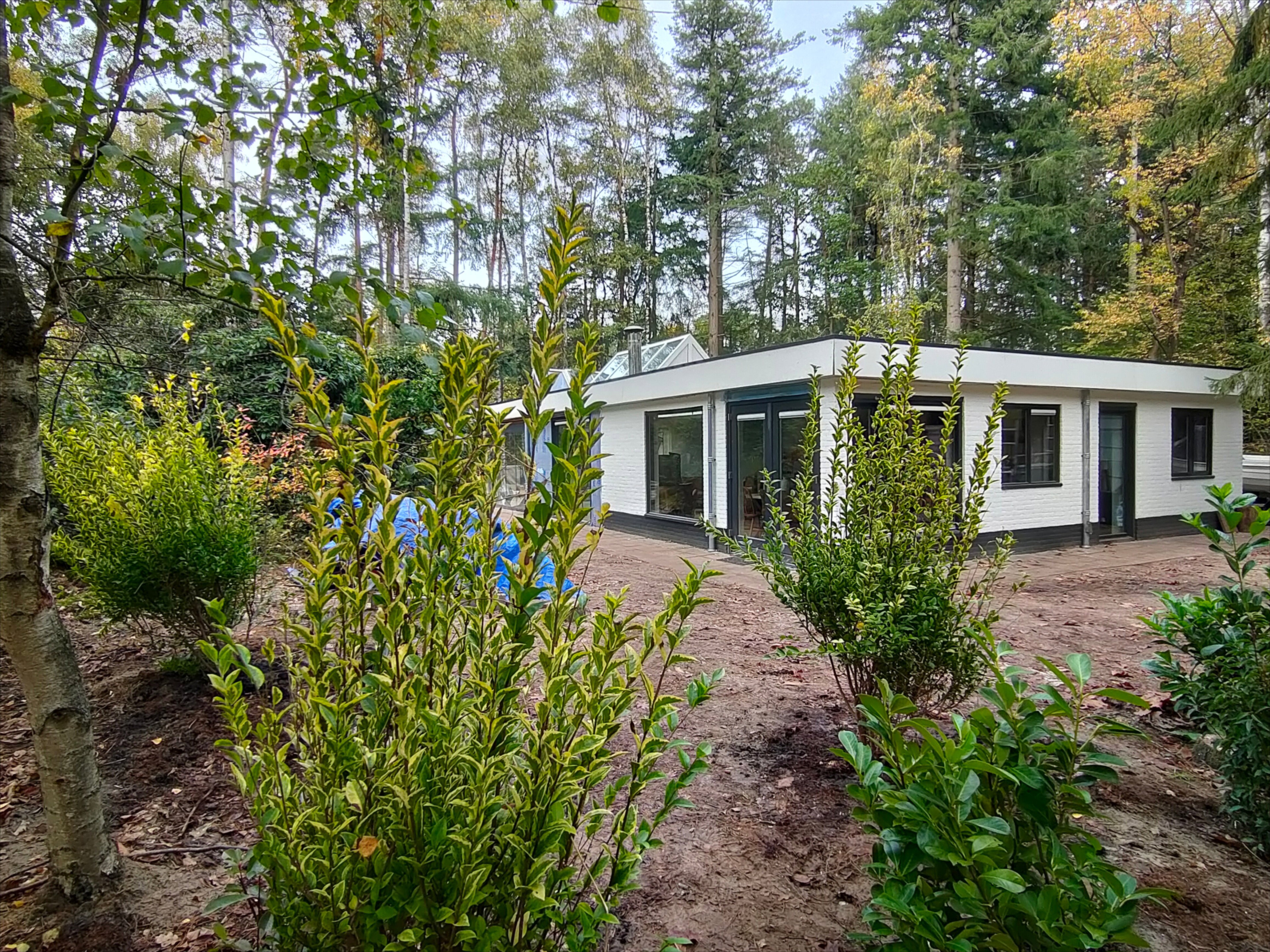 Natuurhuisje in Vilsteren