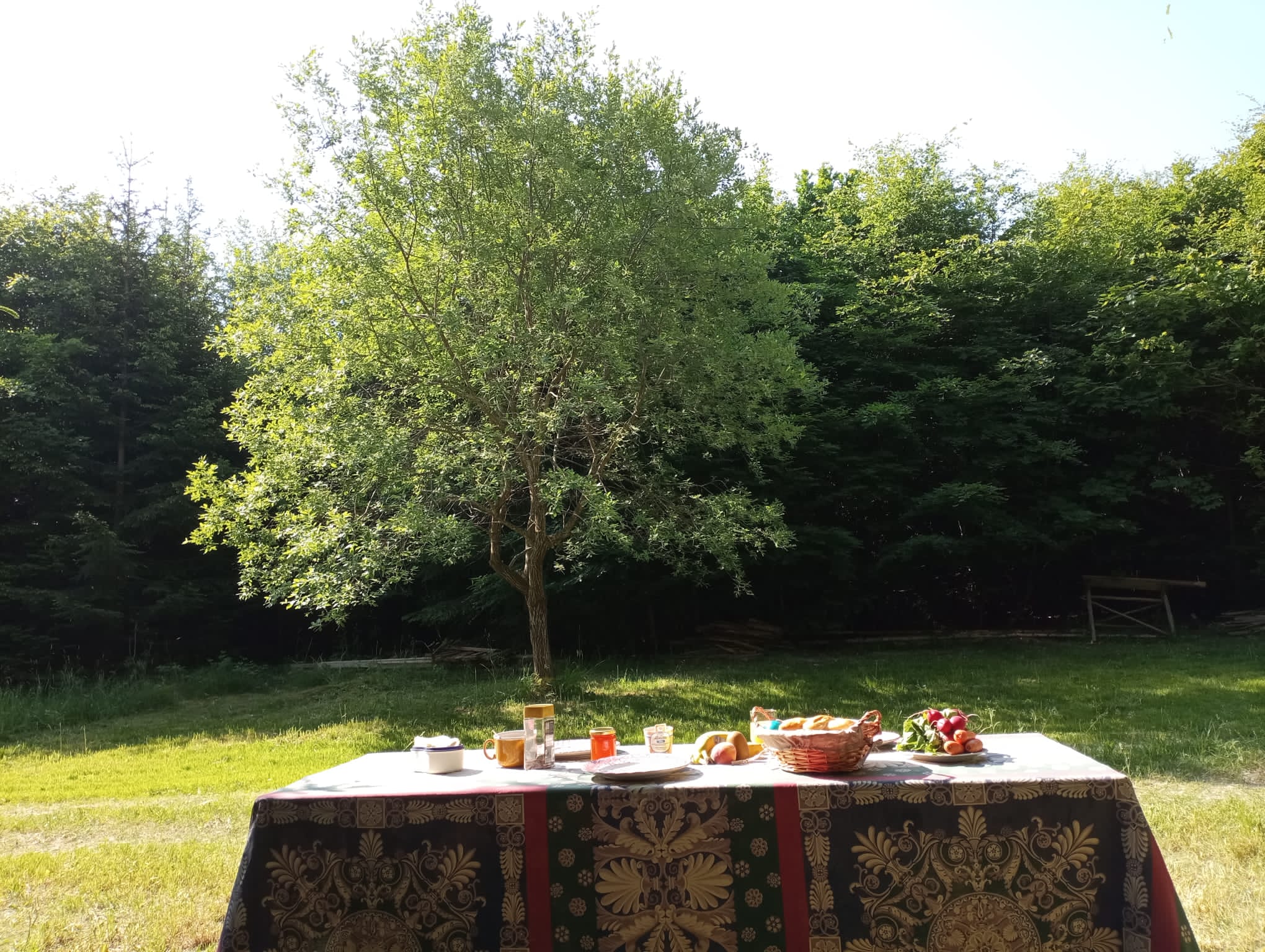 Naturhäuschen in Waal
