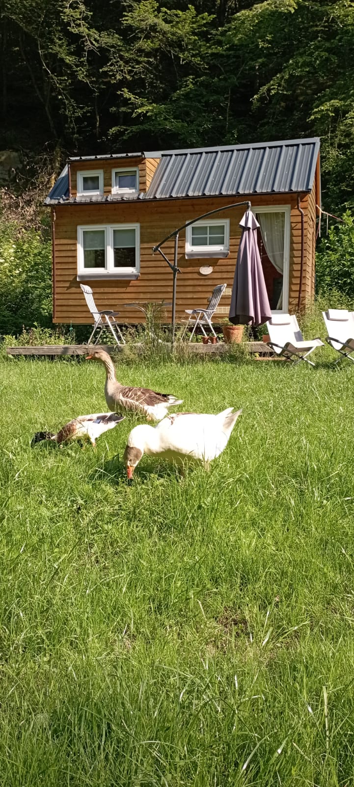 Casa nella natura a Mörsdorf