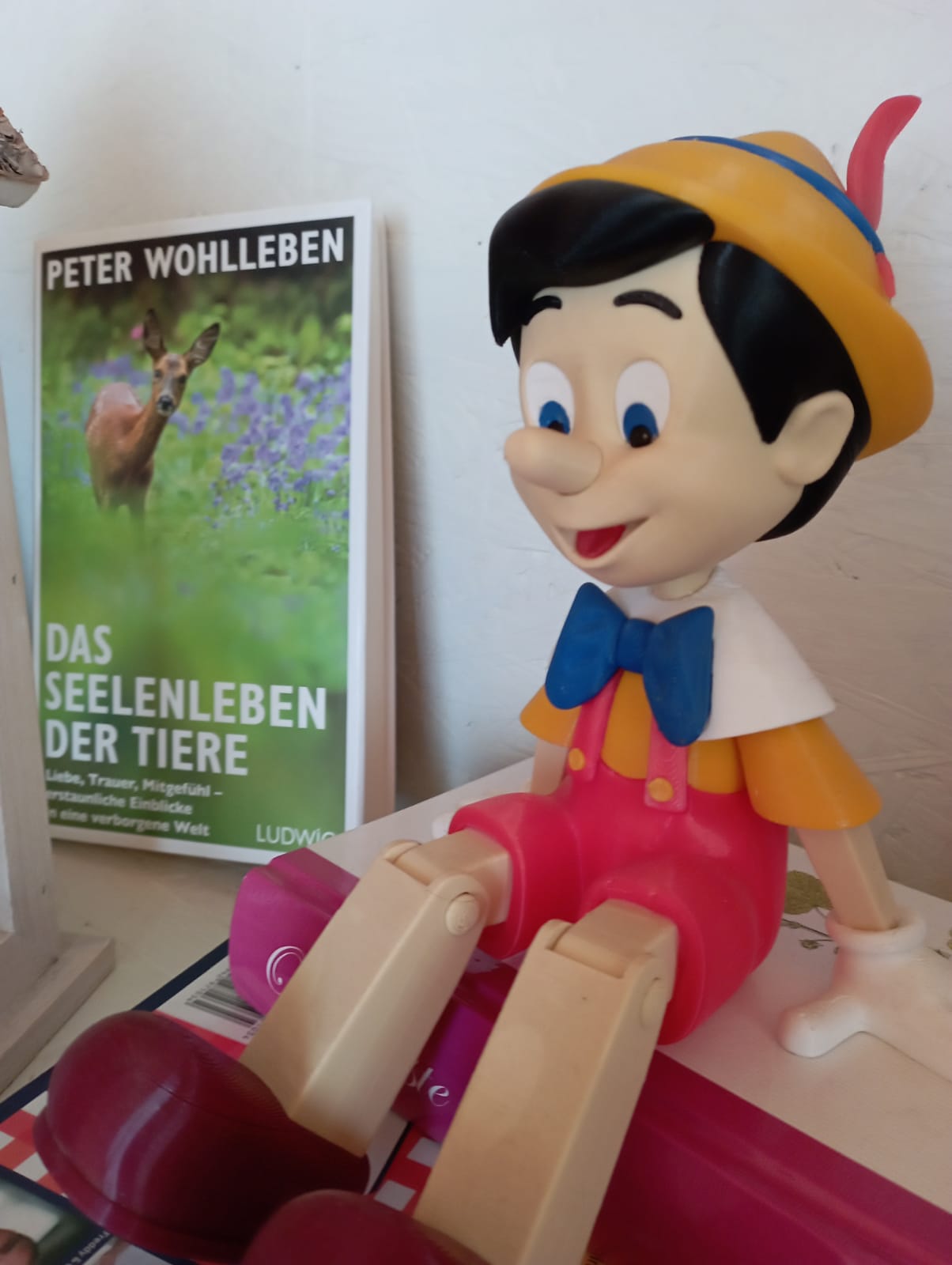 Casa nella natura a Mörsdorf