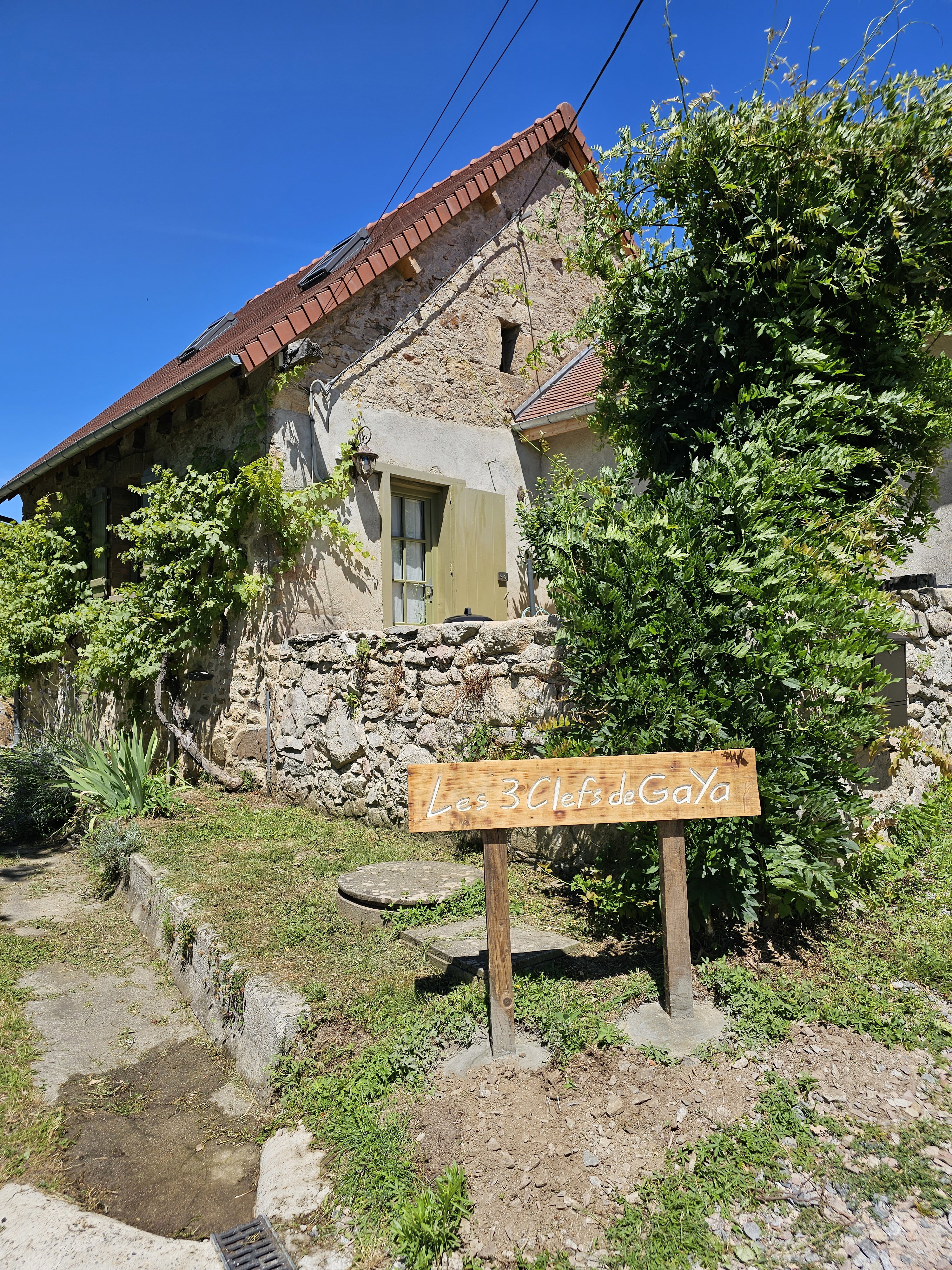 - image: 42