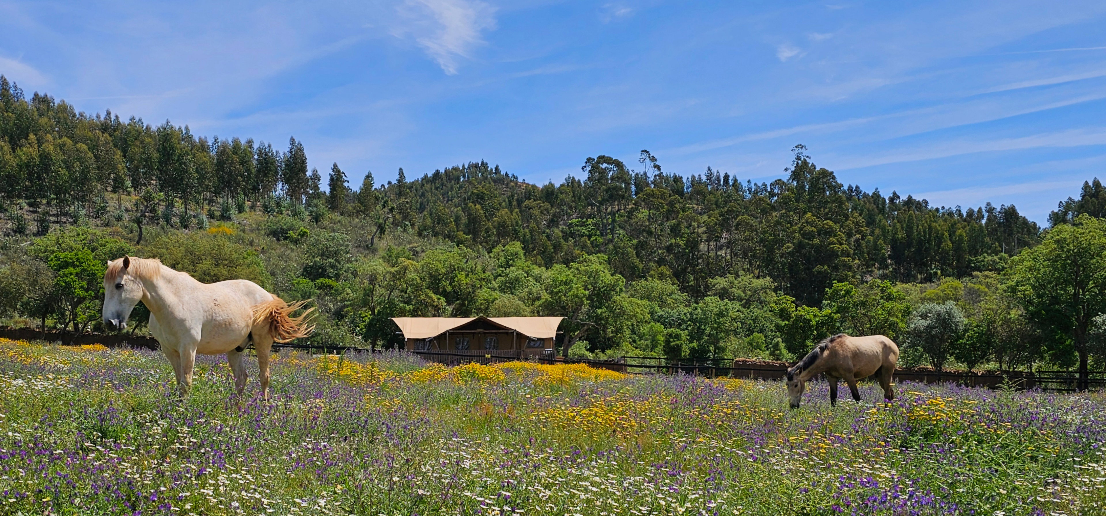Casa nella natura a Casa Nova da Cruz