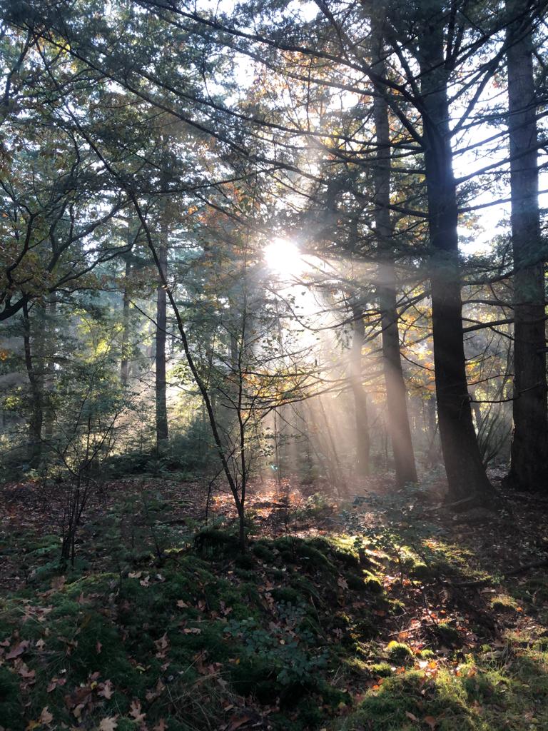 Natuurhuisje in Putten