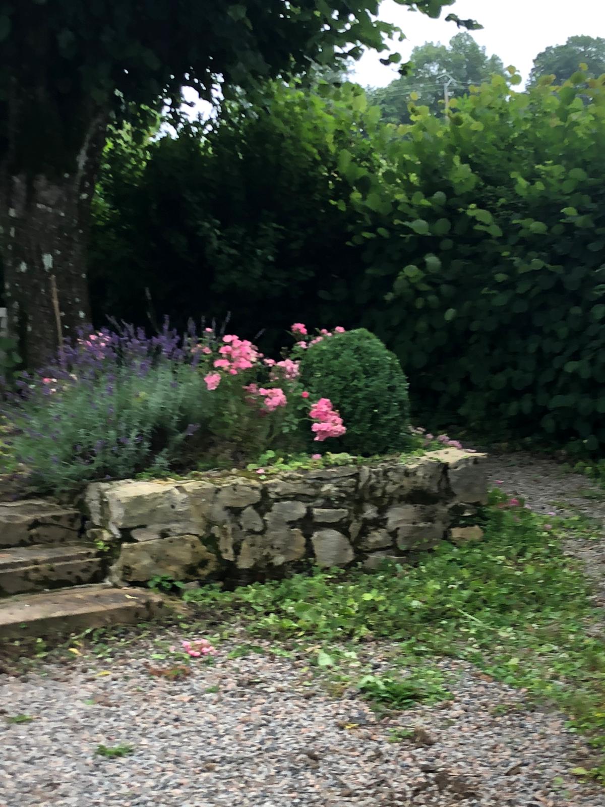 - image: 24