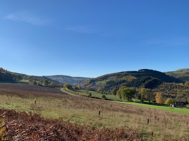 - image: 26