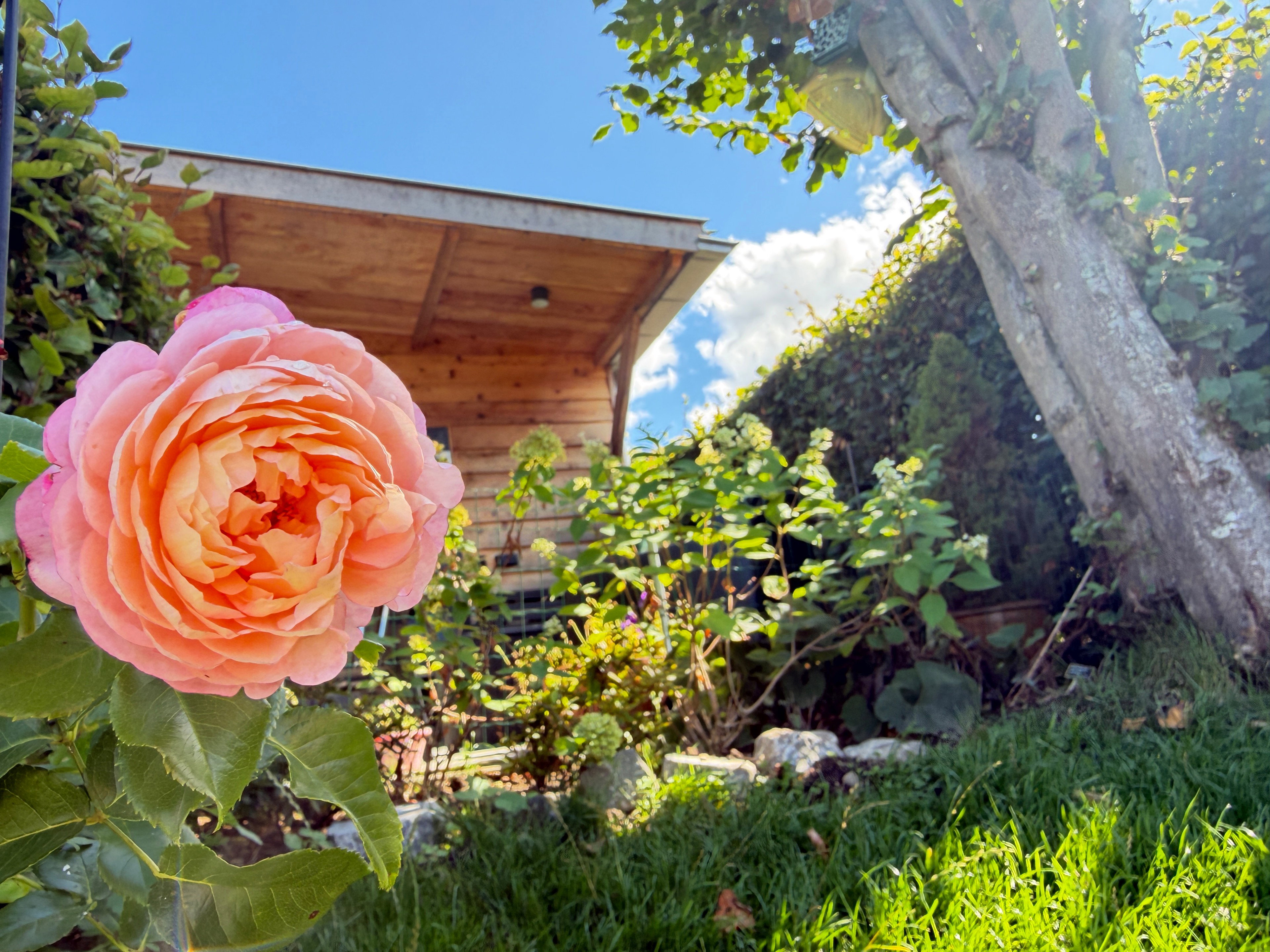 Maison nature à Banholt