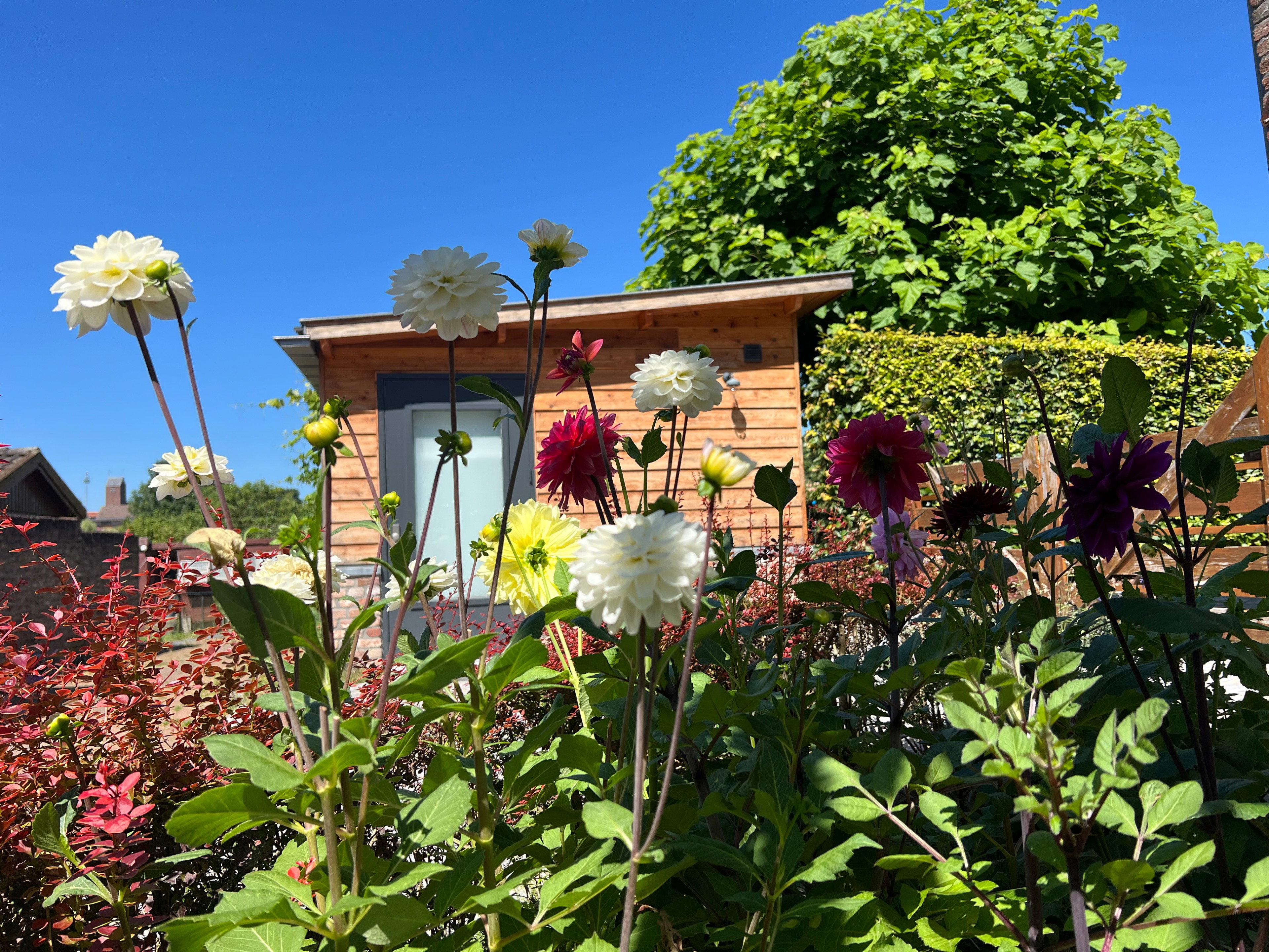 Casa nella natura a Banholt