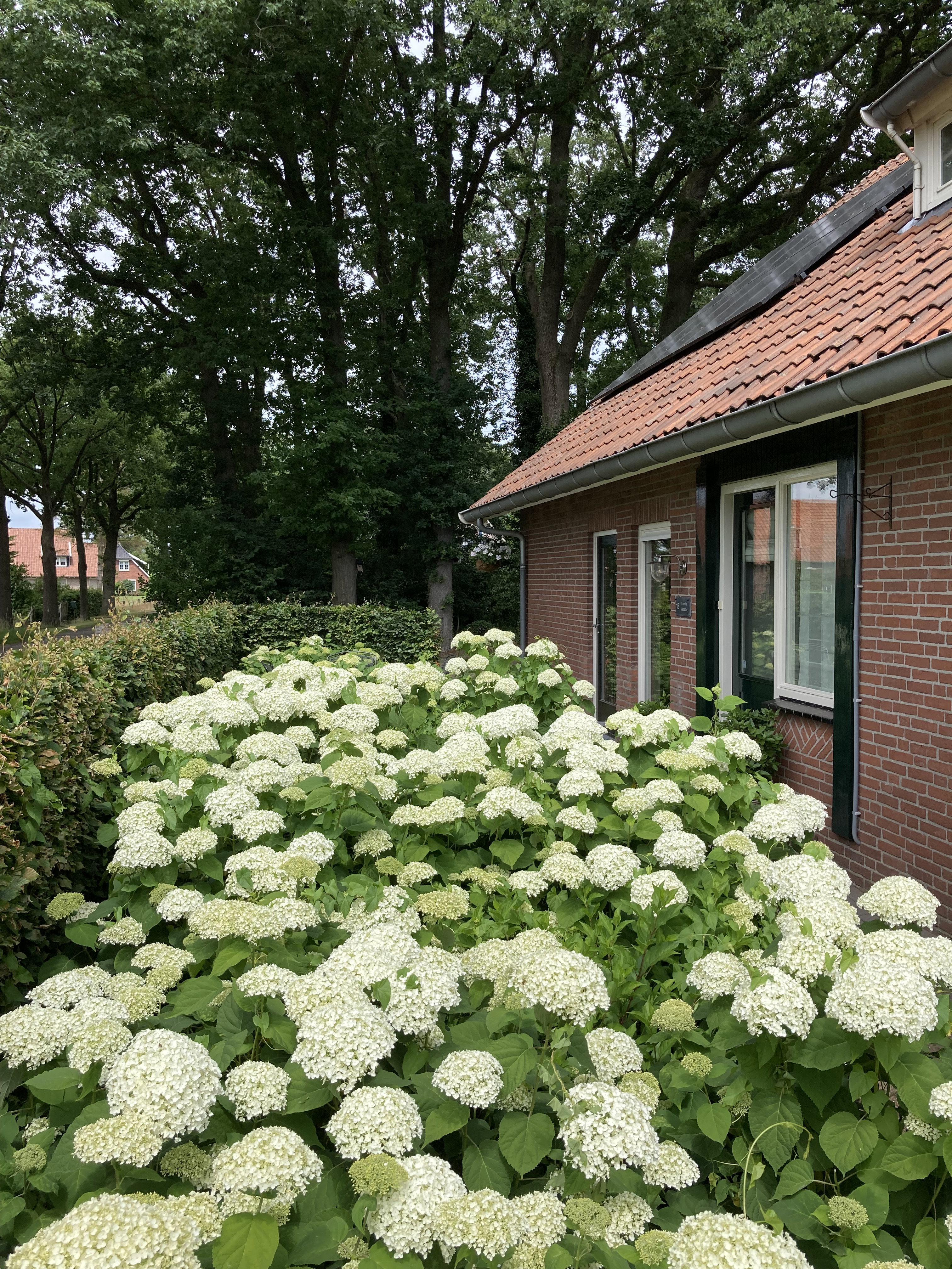 Naturhäuschen in Oldenzaal