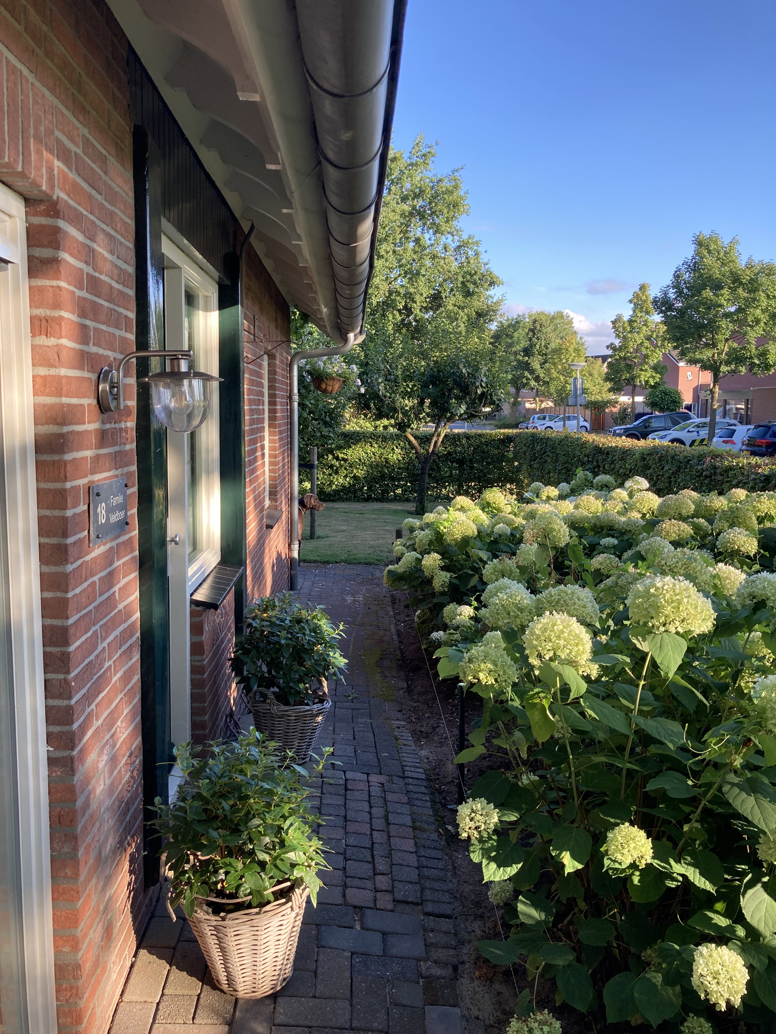 Naturhäuschen in Oldenzaal