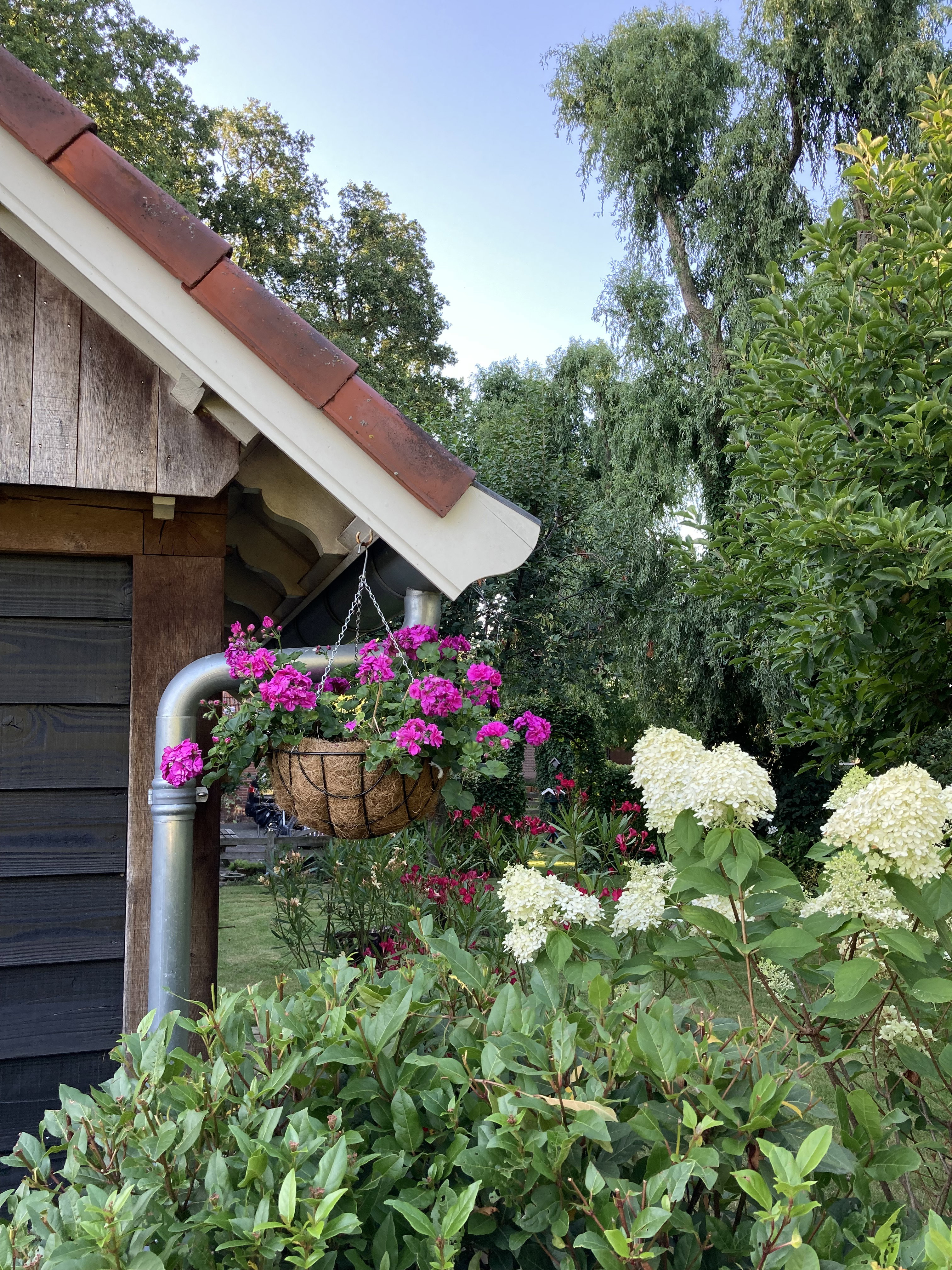 Naturhäuschen in Oldenzaal