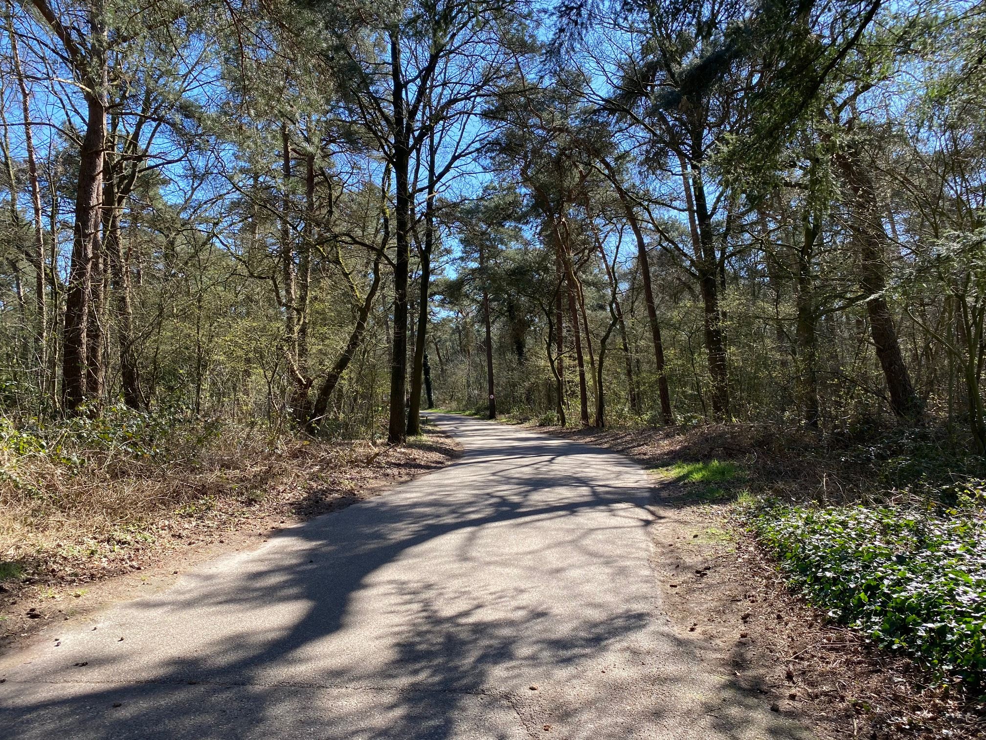 Natuurhuisje in Ommen