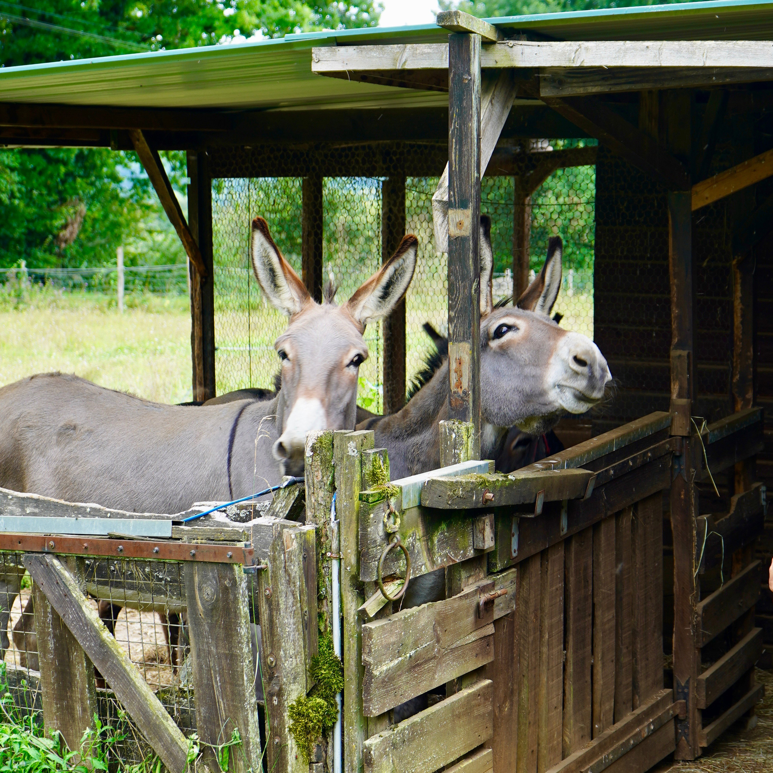 Natuurhuisje in Sainte Nathalene