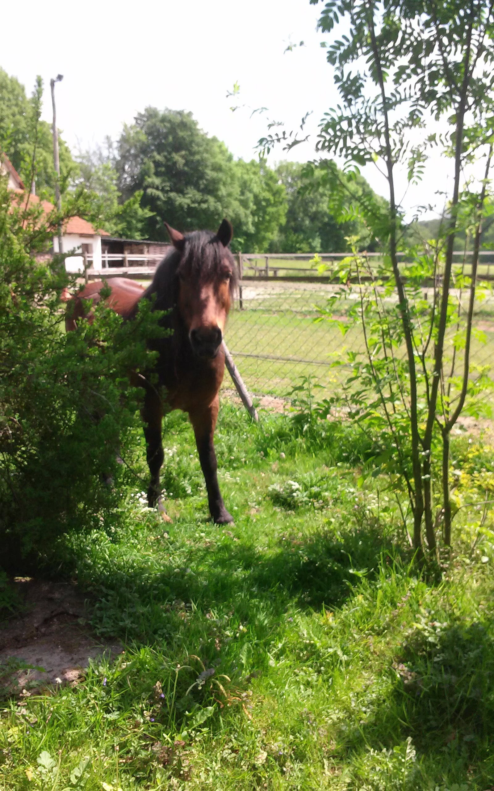 Naturhäuschen in Tecklenburg