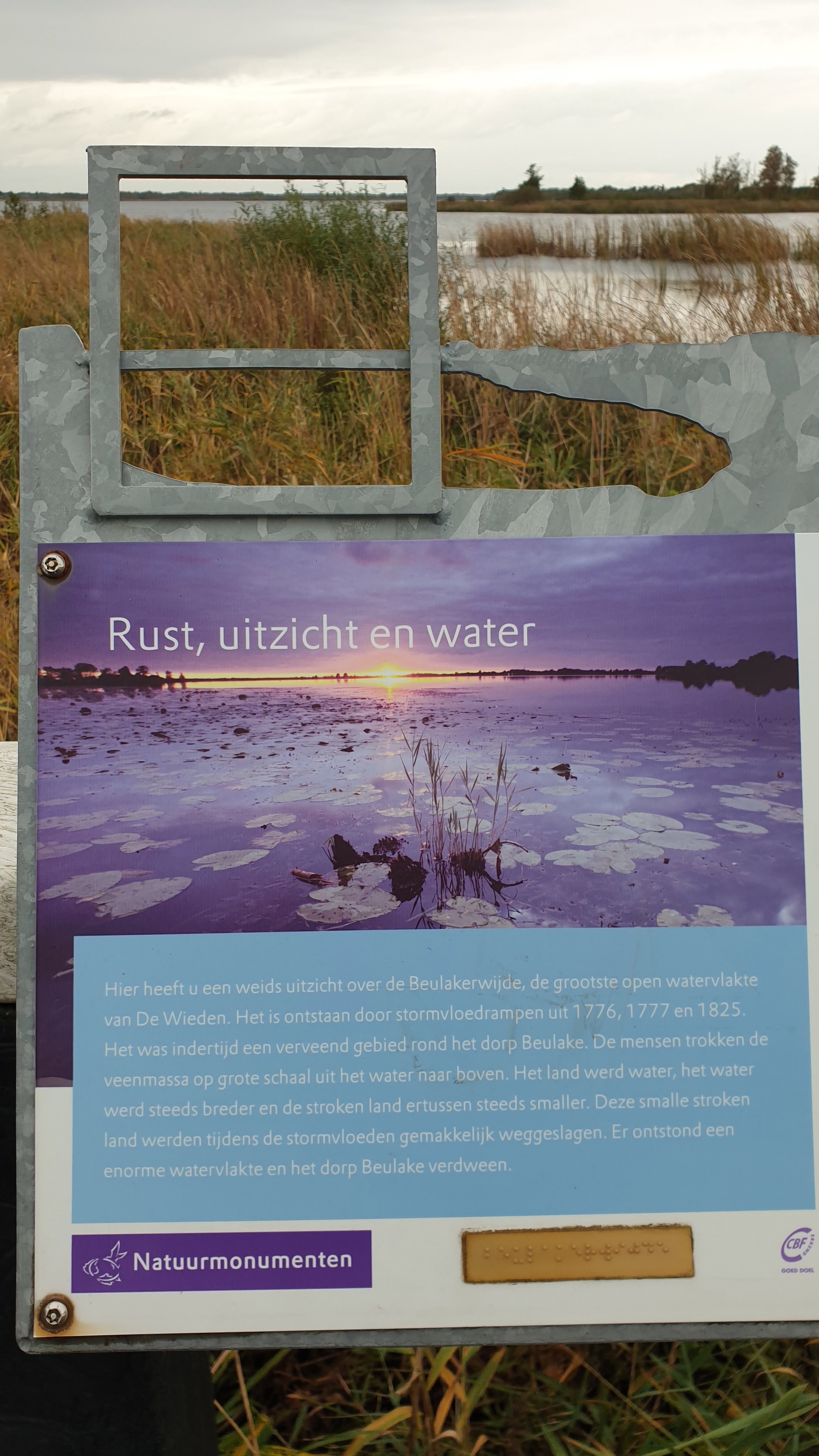 - image: 19