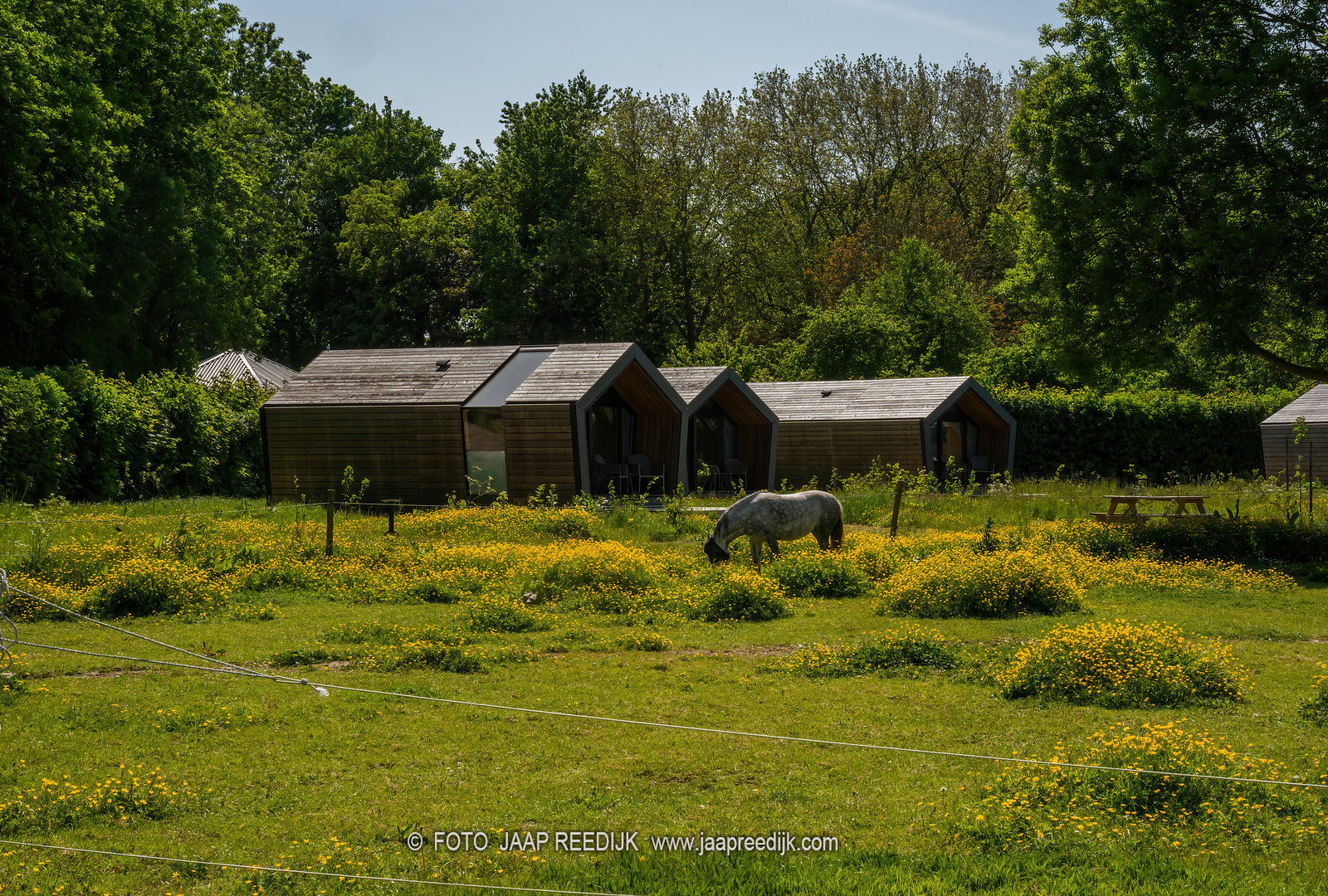 Natuurhuisje in Sommeldsijk