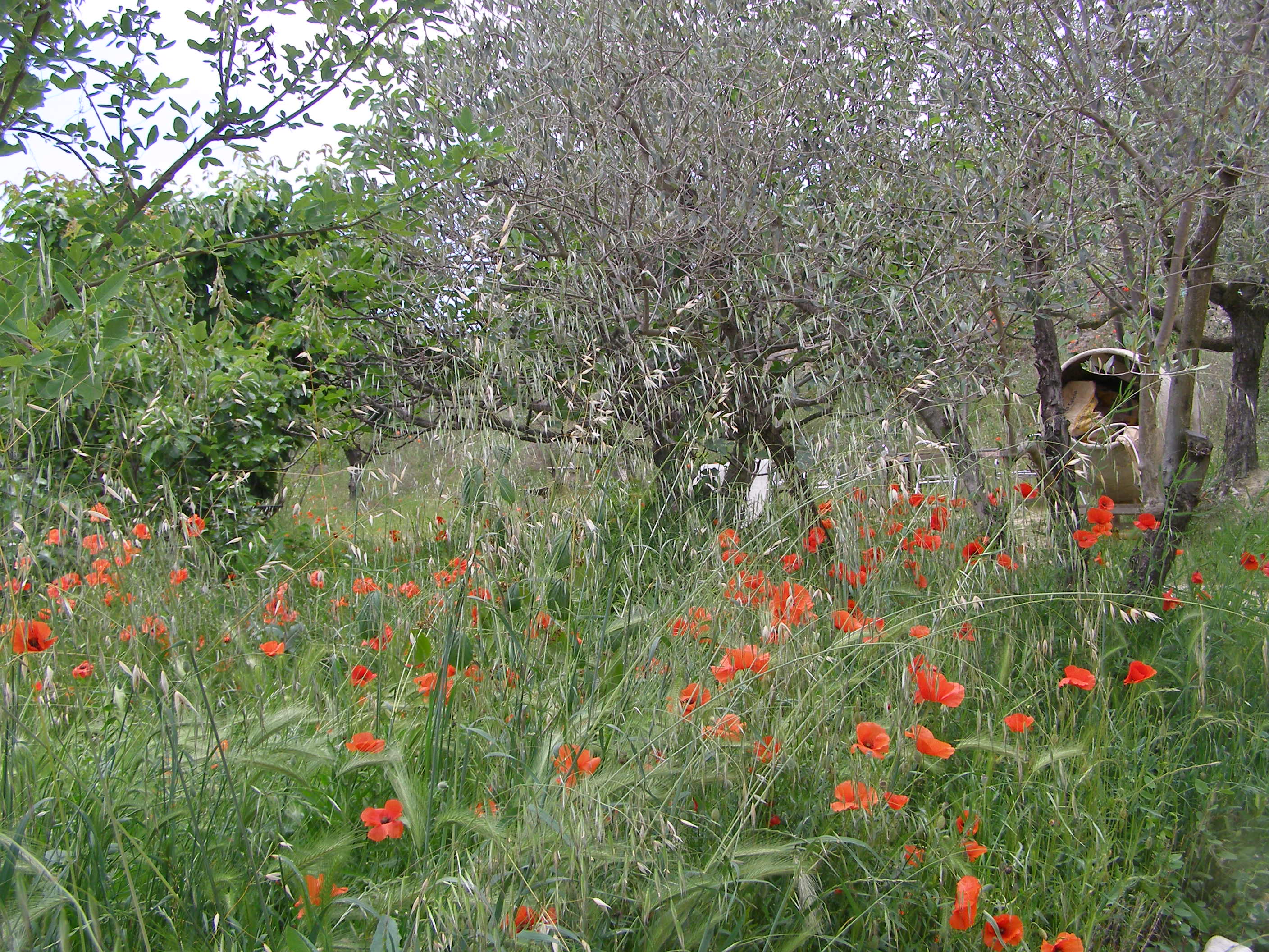 Nature house in Crestet