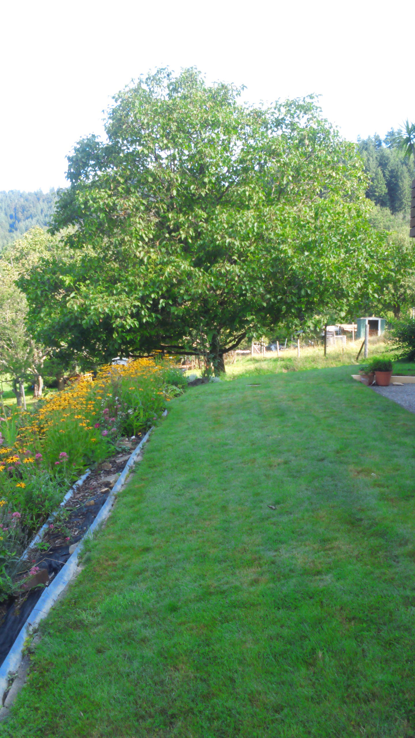 Maison nature à Badenweiler