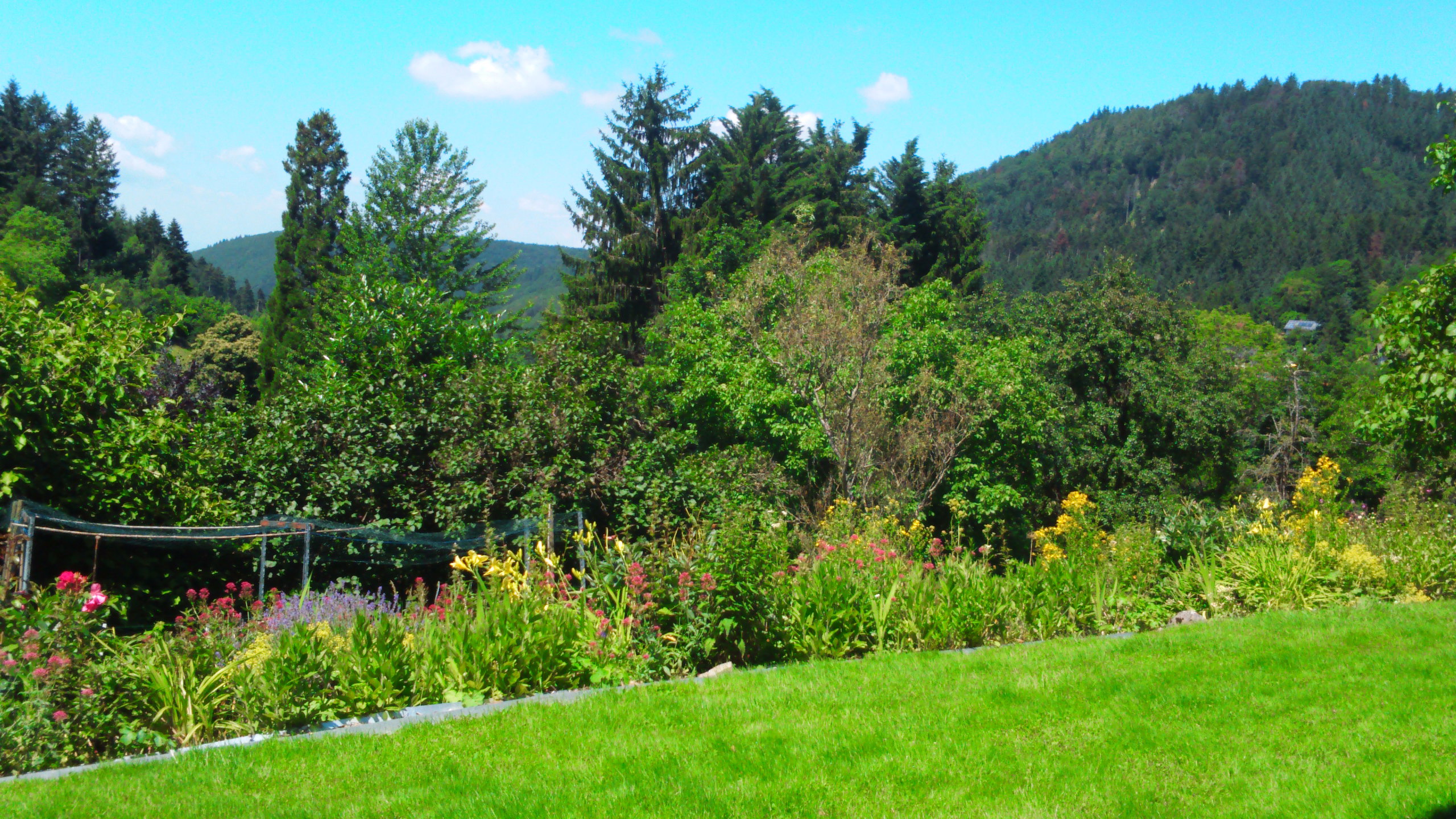 Maison nature à Badenweiler
