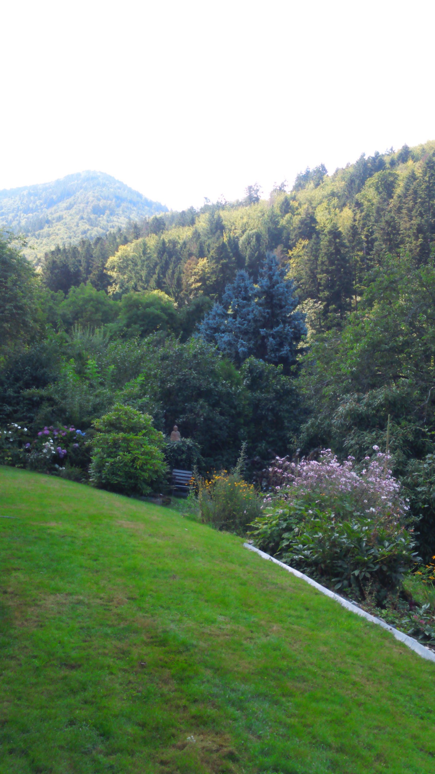 Maison nature à Badenweiler