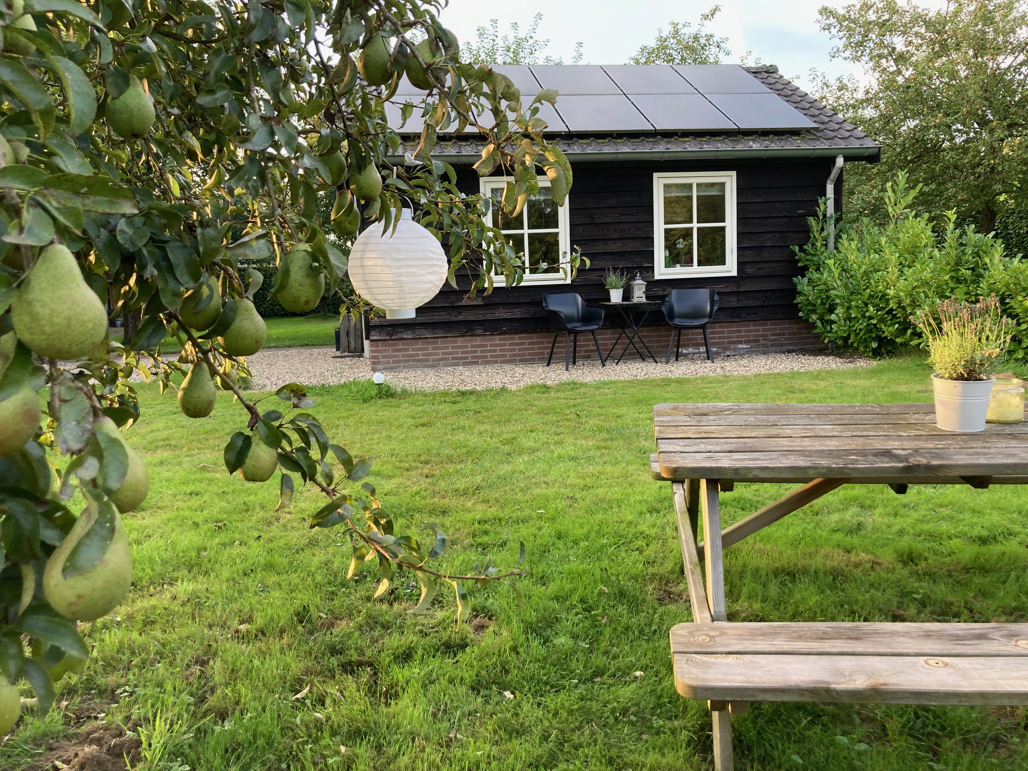 Naturhäuschen in Beemte Broekland