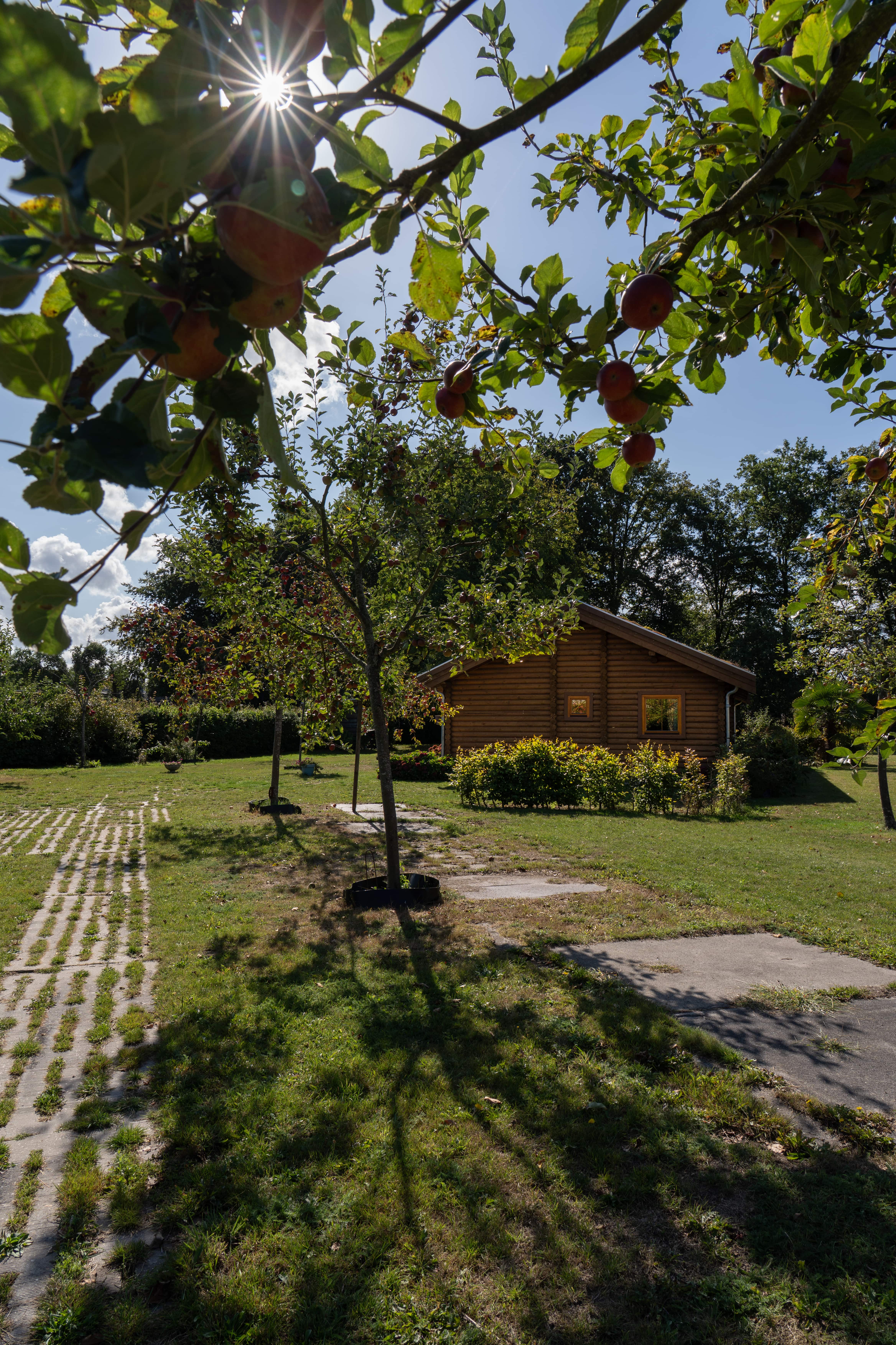 Casa nella natura a Valkenswaard