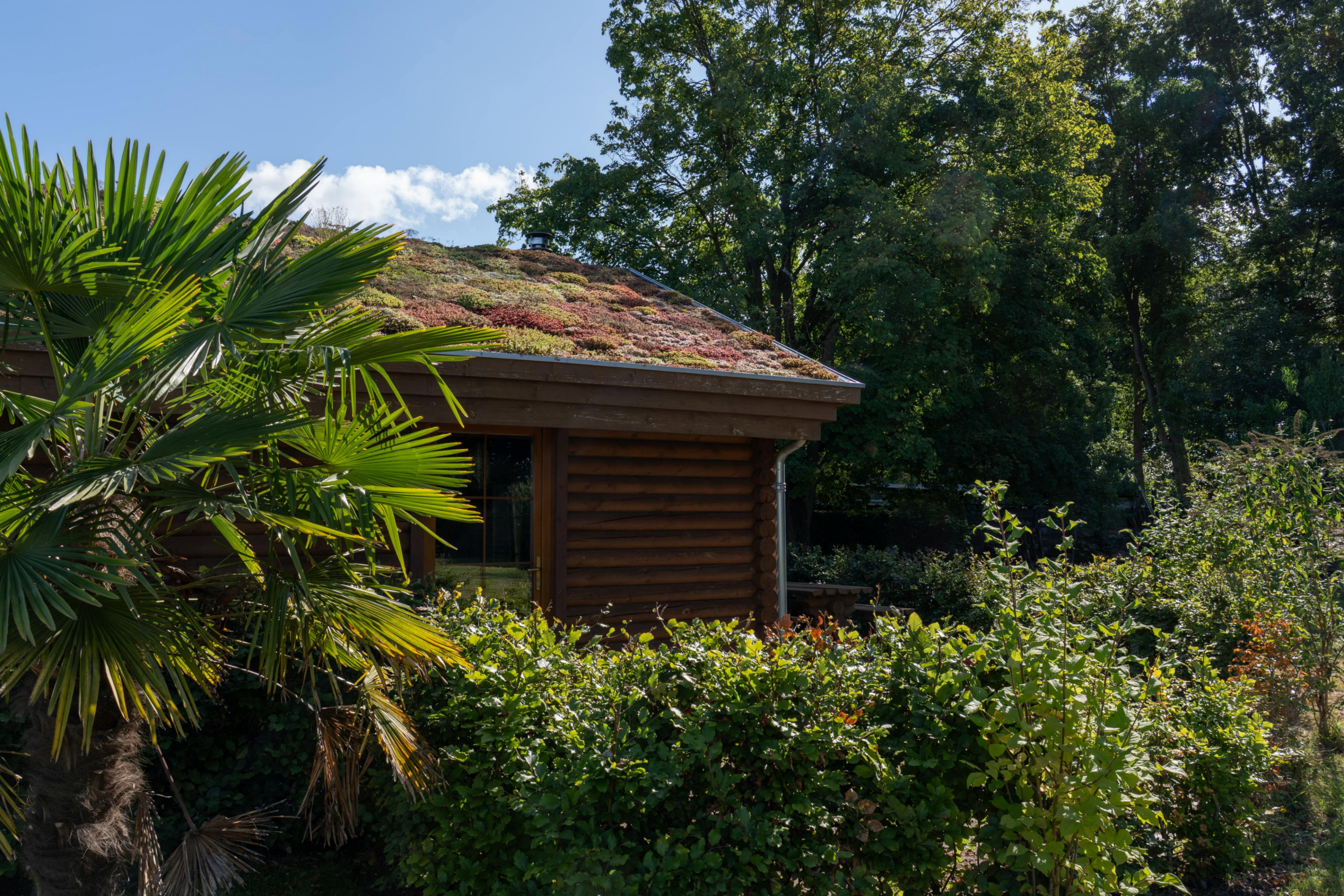 Casa nella natura a Valkenswaard