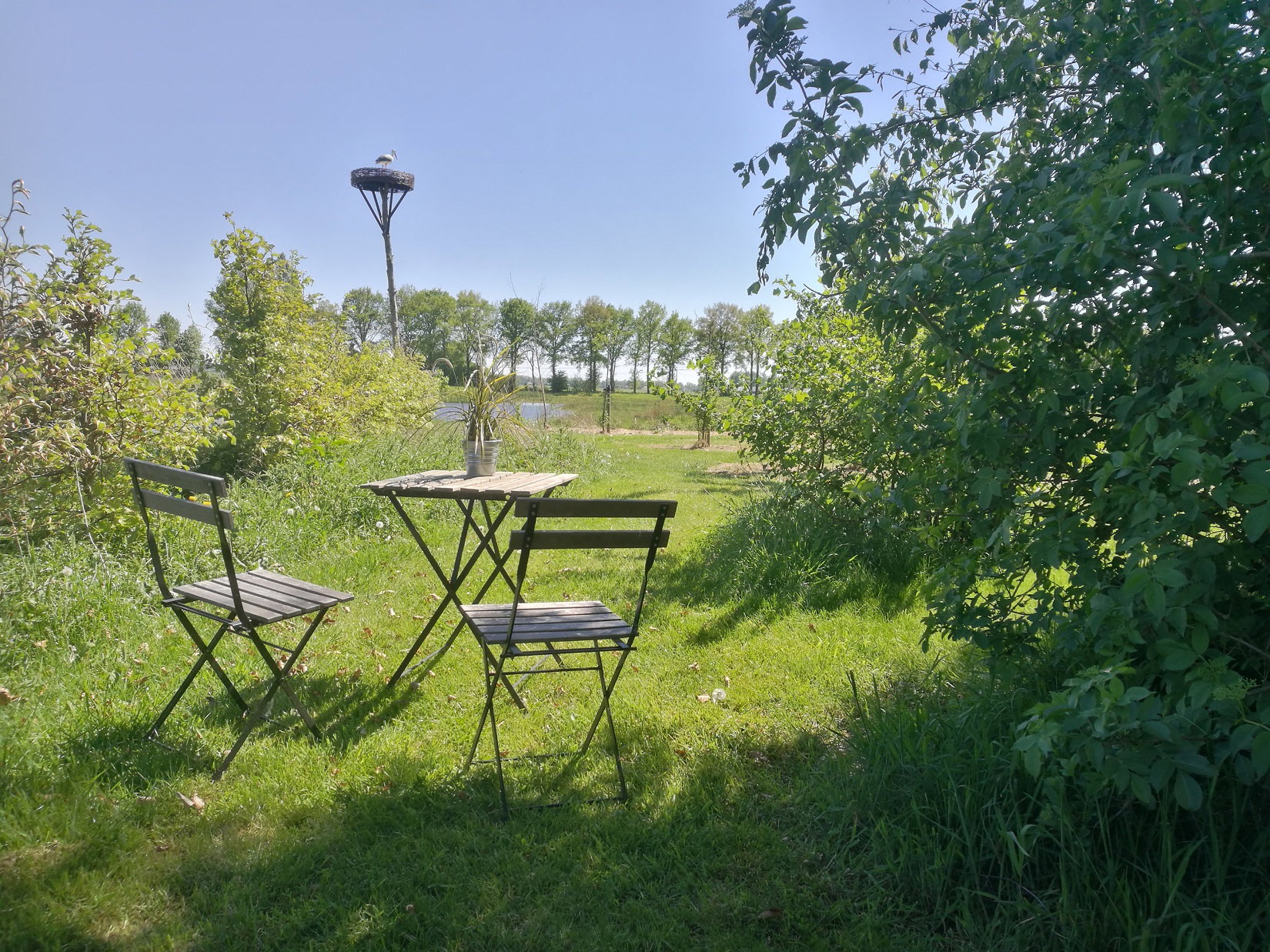 Natuurhuisje in Dalfsen