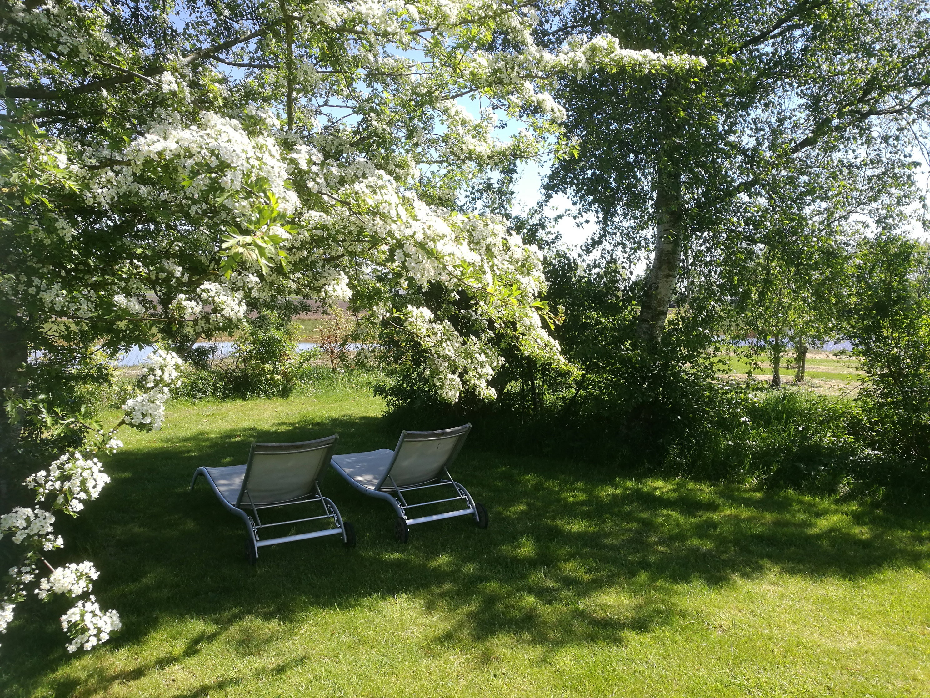 Natuurhuisje in Dalfsen